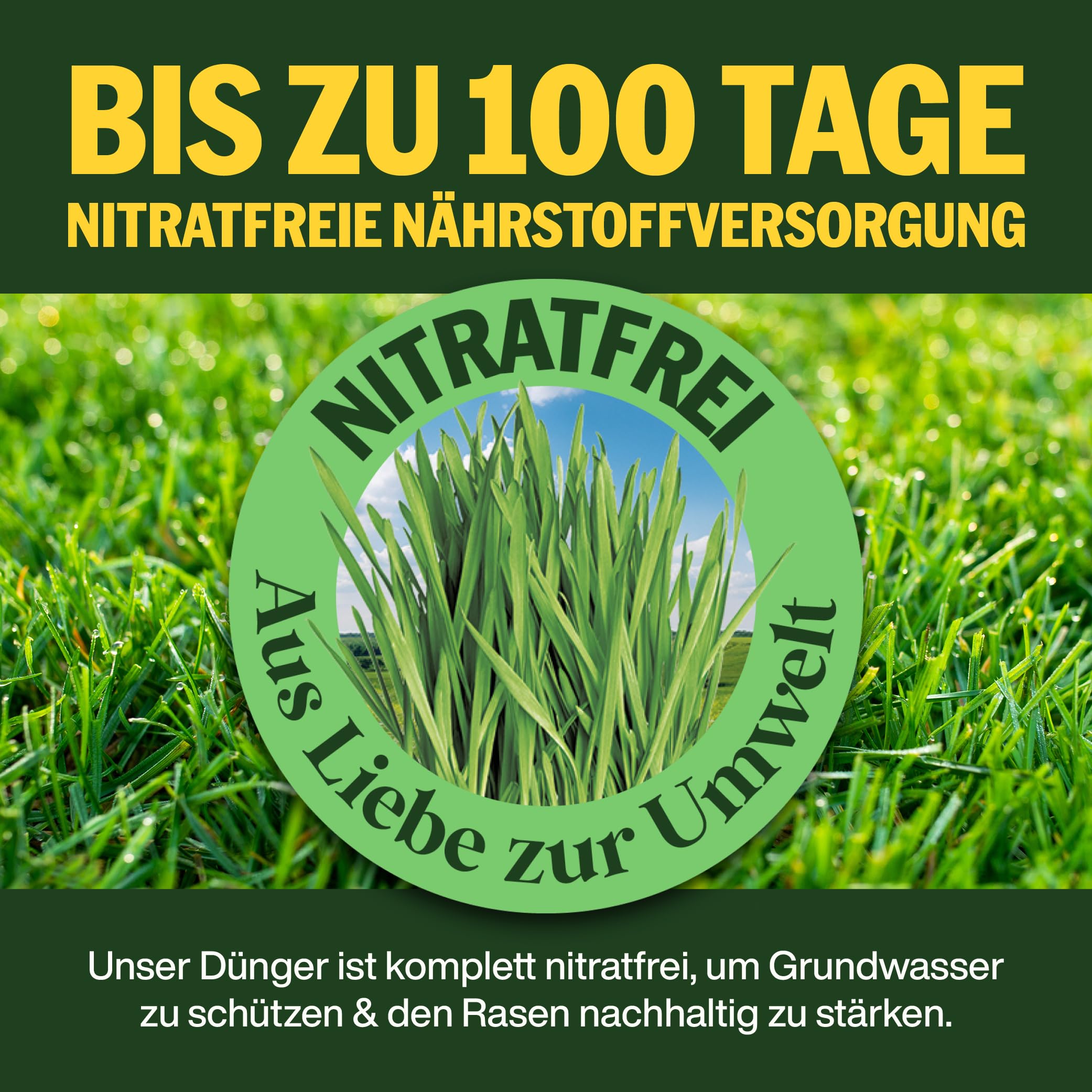 SUPERGREEN Sommer-Rasendünger Langzeitformel 10kg NPK 12-5-15 Granulat 2-5 mm