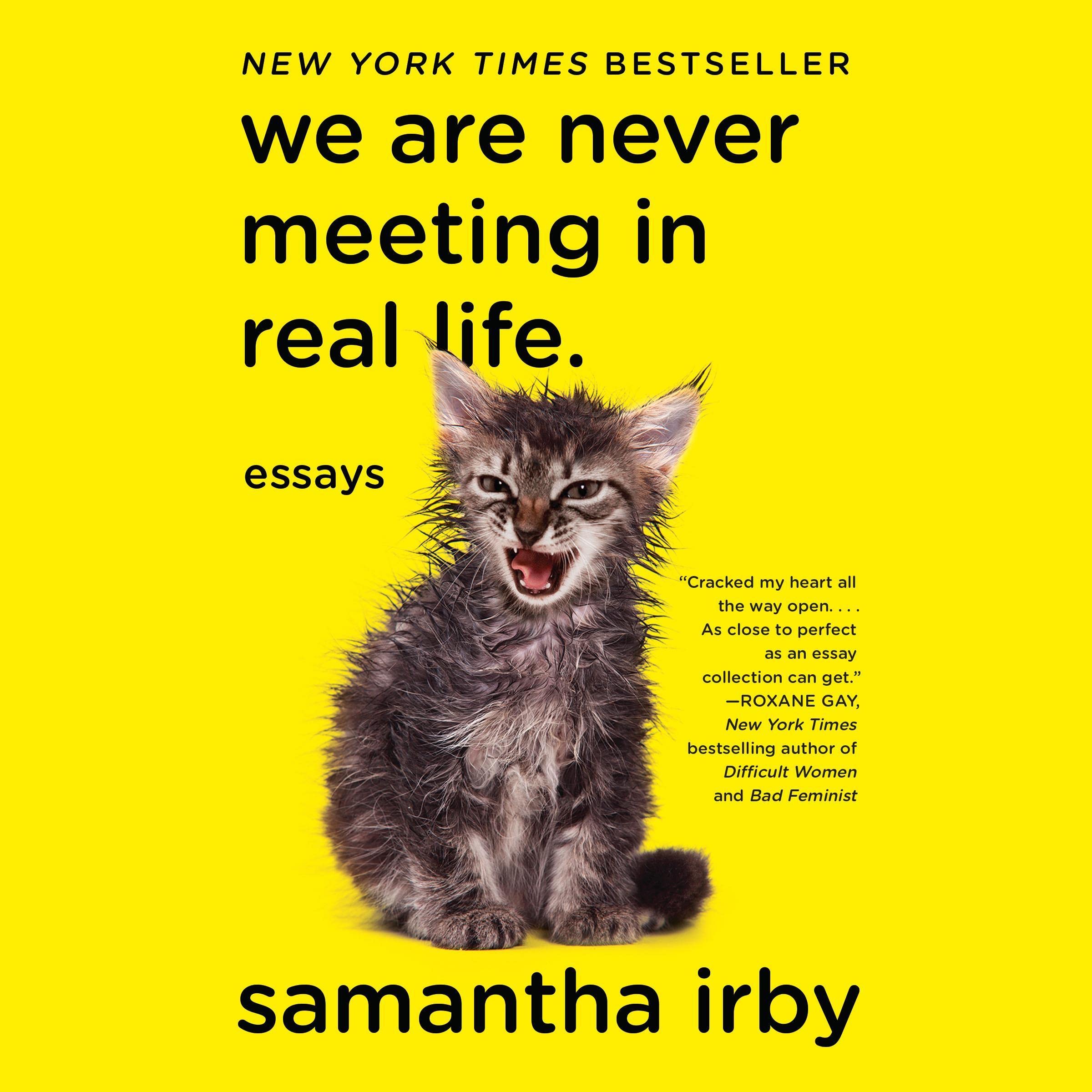 Cover art for We Are Never Meeting in Real Life