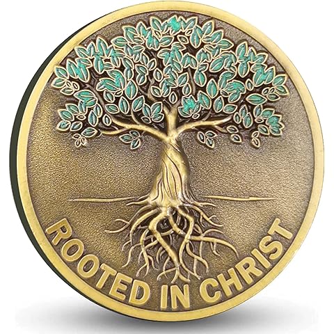 Rooted in Christ Challenge Coin Christian Daily Reminder Gift (Single Coin)