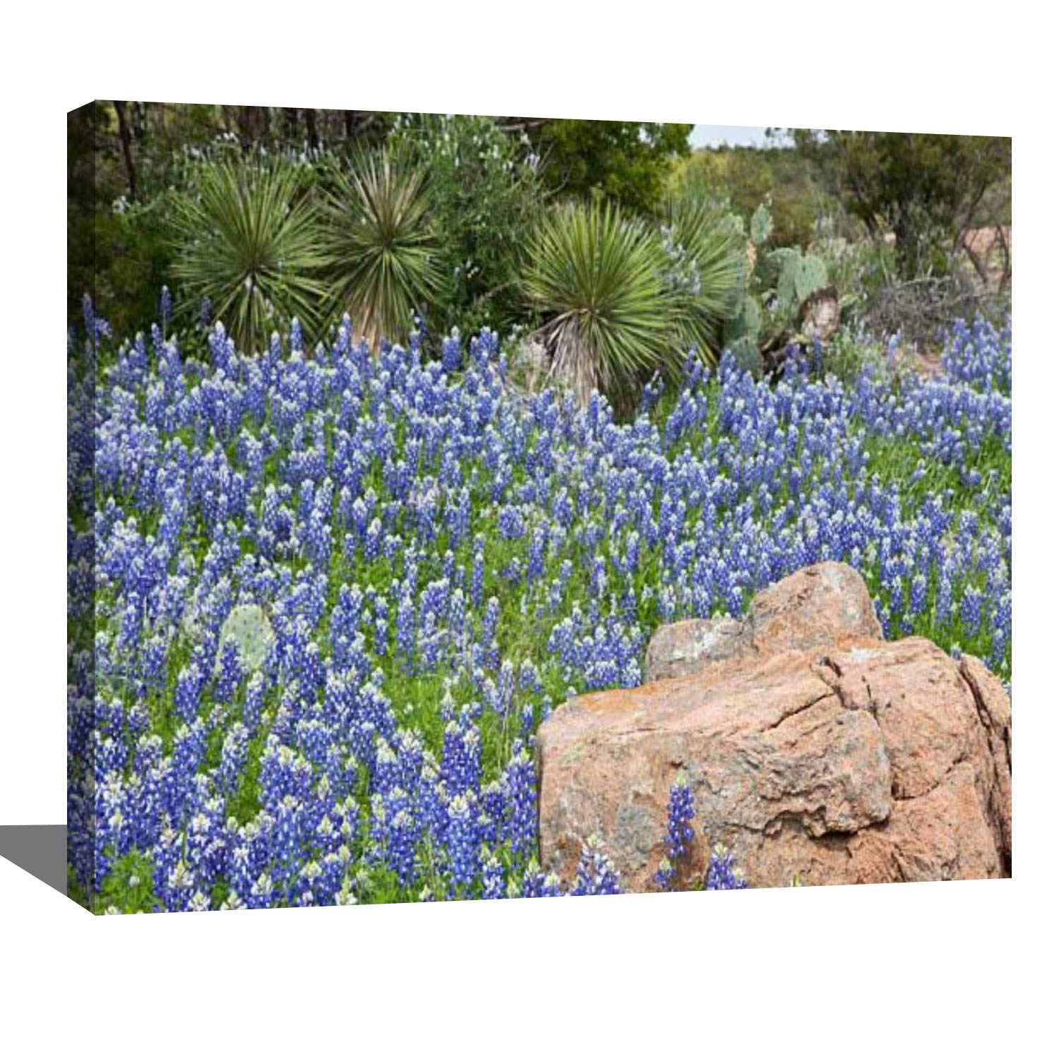 DIY Digital Oil Painting Set Patch of Texas Bluebonnets at Inks Lake State Park Texas Hill Paint by Numbers Kits for Adult Beginner Children Wooden Frame Art Craft for Home Wall Decor-16x20"