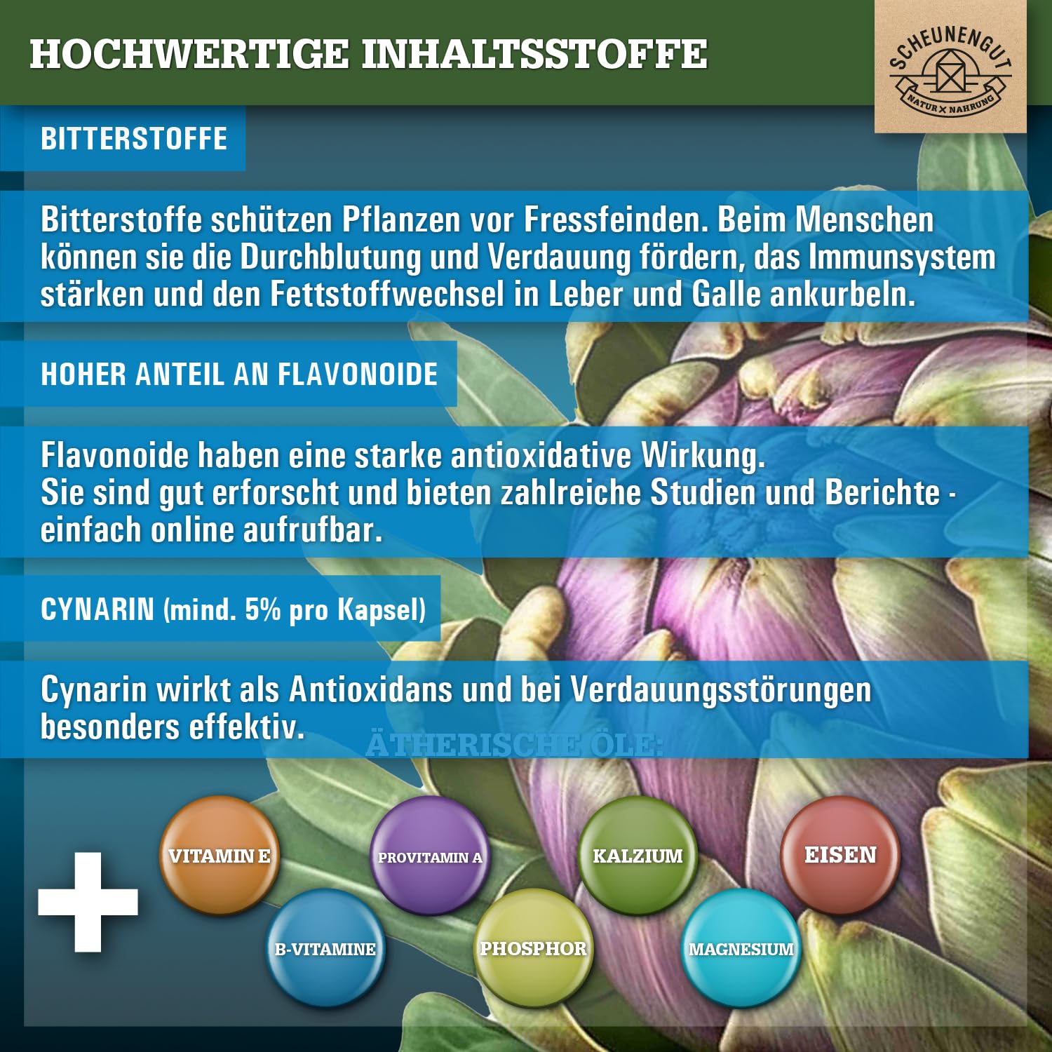 Artischocken Kapseln Hochdosiert 2400mg -WICHTIG: 30:1 Extrakt (=72000mg reine Artischocke je Tagesdosis) +5% Cynarin -Artischockenextrakt- Artischocken Kapseln DE SCHEUNENGUT®