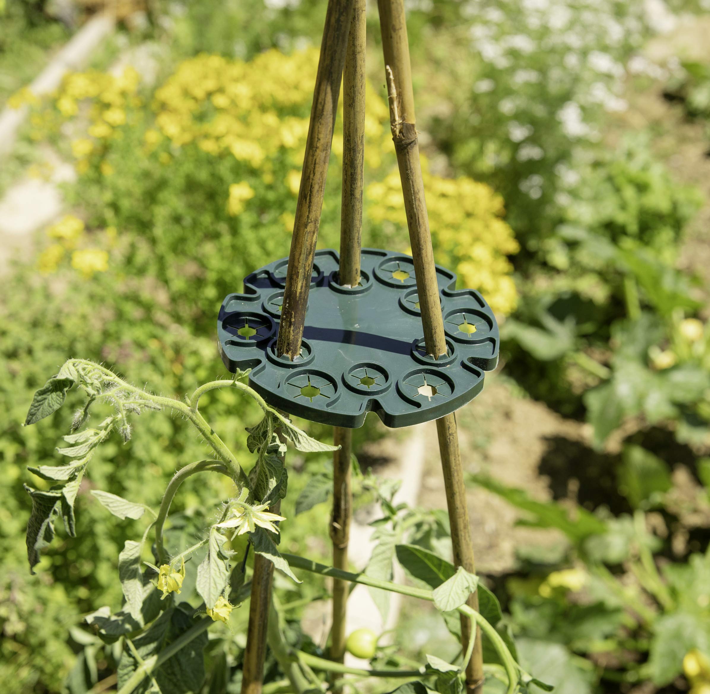 Windhager Netzhalter Für Pflanzstäbe – 12 Cm, 5 Stück, Grün, Zum Aufspannen Von Schutznetzen über Beeten