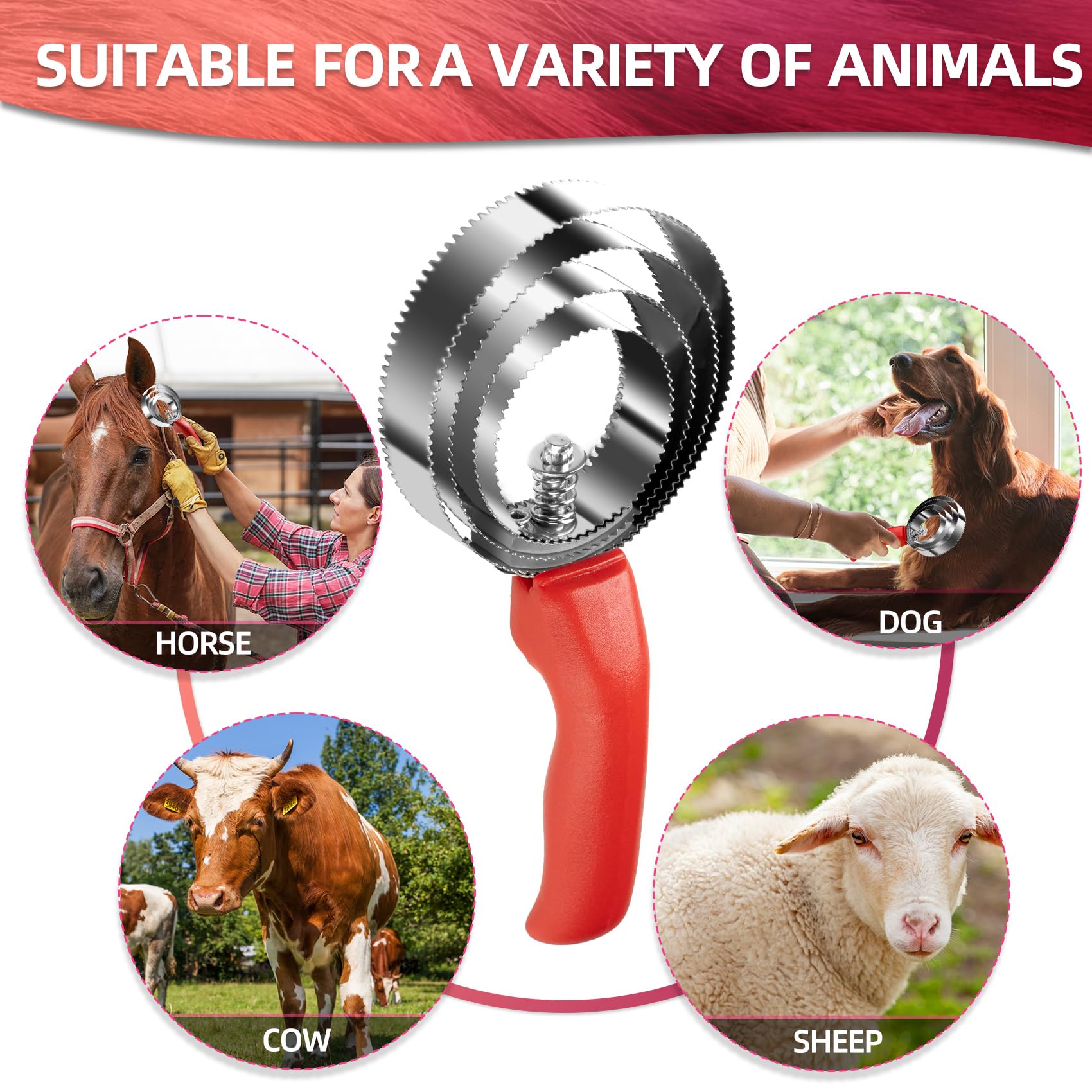 Stainless Steel Curry Comb for Horses & Pets -6
