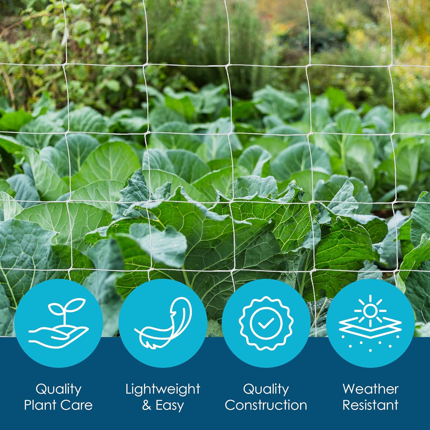 Houseables Trellis Netting, Hortonova Netting, Scrog Net, Trellis Net, Nylon, 5FTx350FT Roll, For Climbing Plants, Cut Flower Support, Garden, Grow Pea, Bean, Grape Vine, Mesh, Heavy Duty, 6x6 Squares