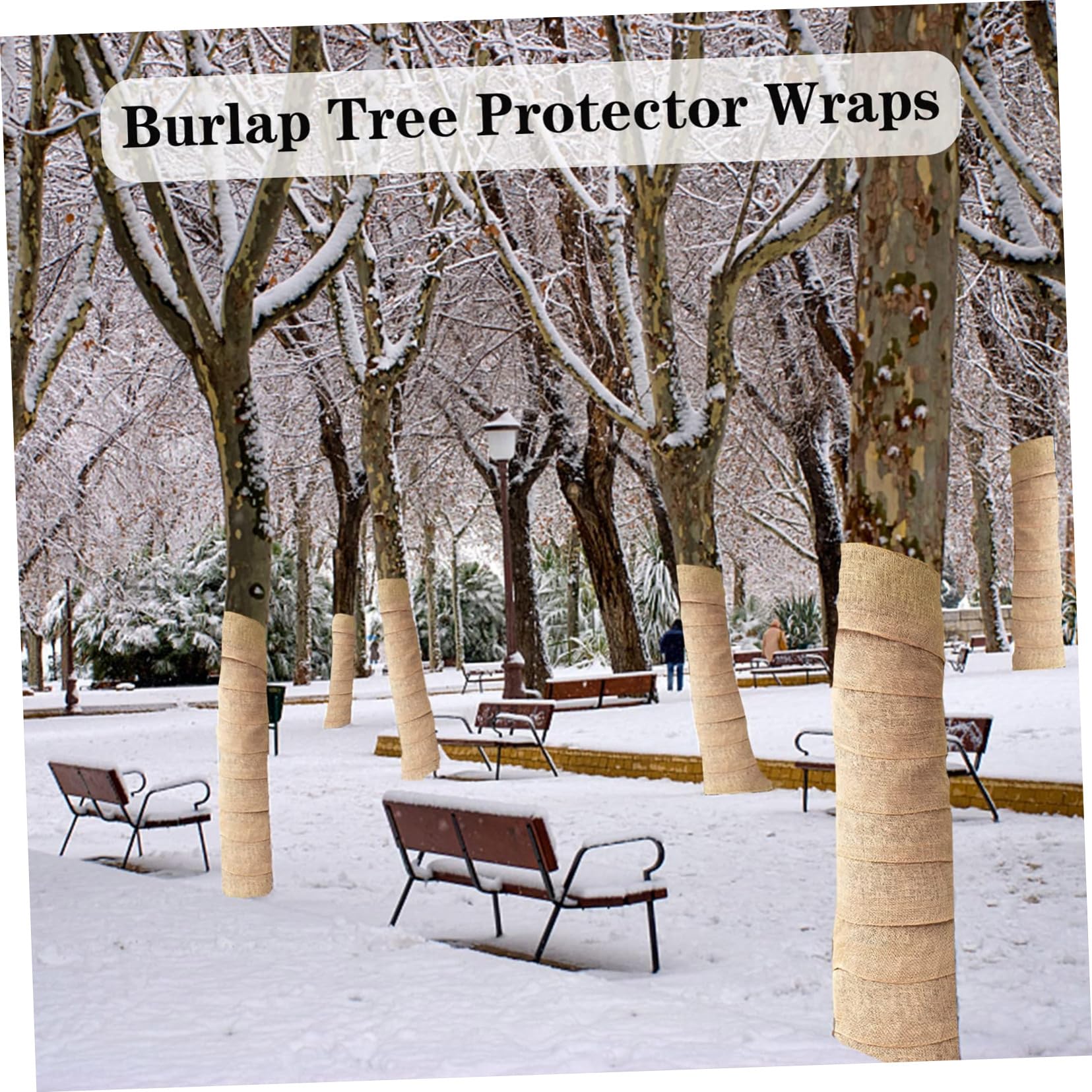 Fasce di Sicurezza per Alberi Antivento per Piante Pellicole Protettive per Alberi di Inverno Forniture e Accessori da Giardino