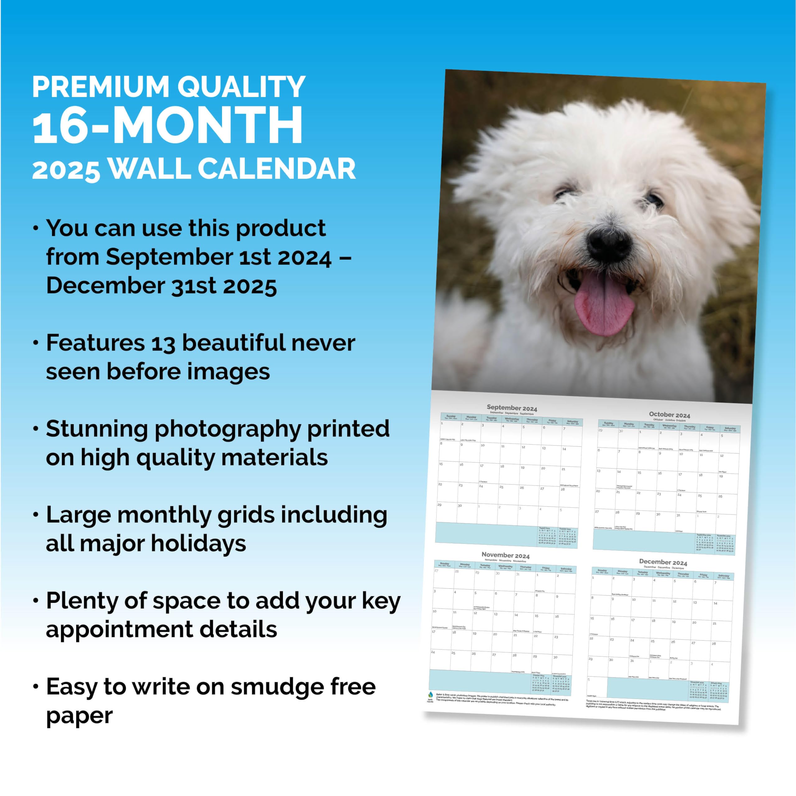 Baker and Bray Bichon Frise Calendar 2026, Large Square Wall Calendar With Organisational Stickers, 16 Month - Image 3