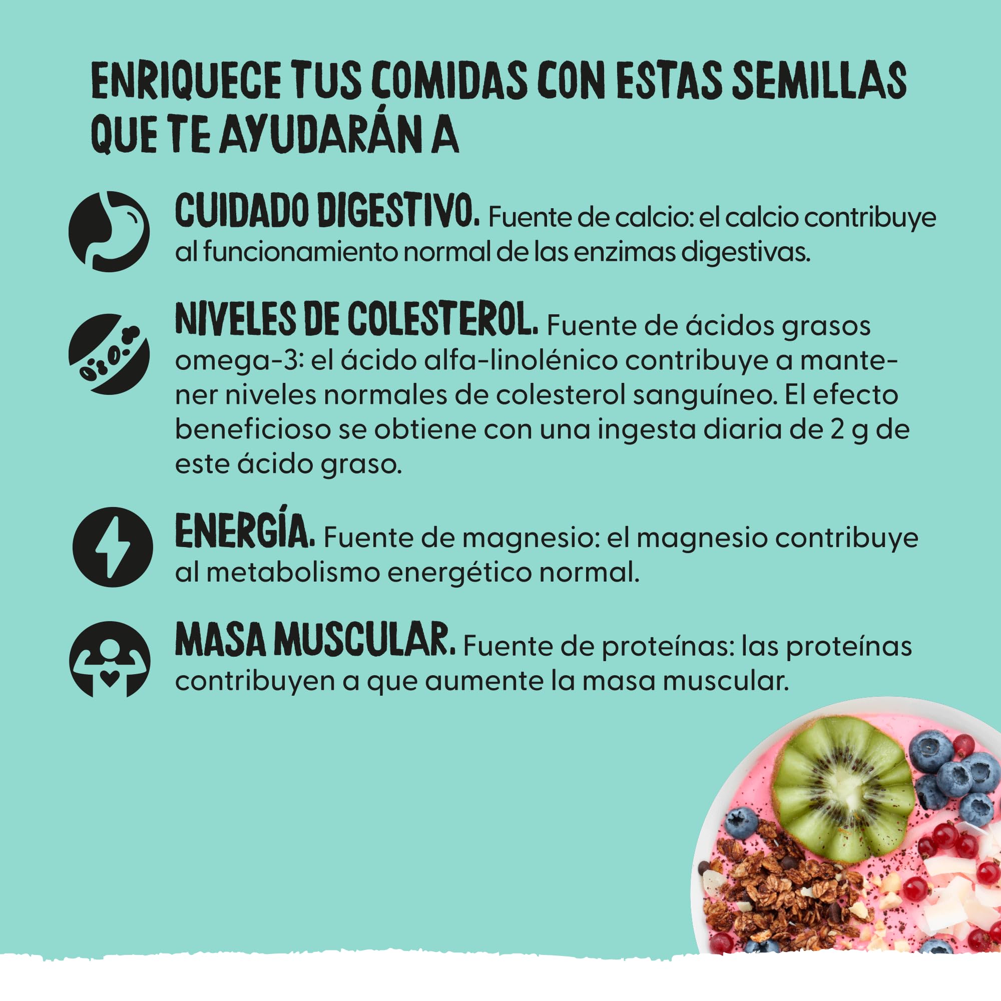 Ecocesta - Semillas Digestion Bio - 200 g - Ricas en Fibra y Nutrientes - Fuente Natural para una Digestión Saludable - Aptas para Veganos
