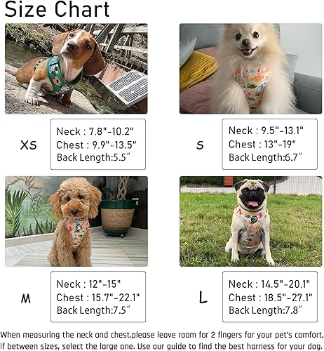 Dog Harness and Leash Set, Adjustable Dog Harness, Dog Leash, No Pull No Choke Puppy Harnesses for Walking Training for Small, Medium Pet (Lemon, S(Chest 13-19", Neck 9.5-13.1"))(Wines,L(Chest 18.5 - 27.1"- Neck 14.5 - 20.1"))