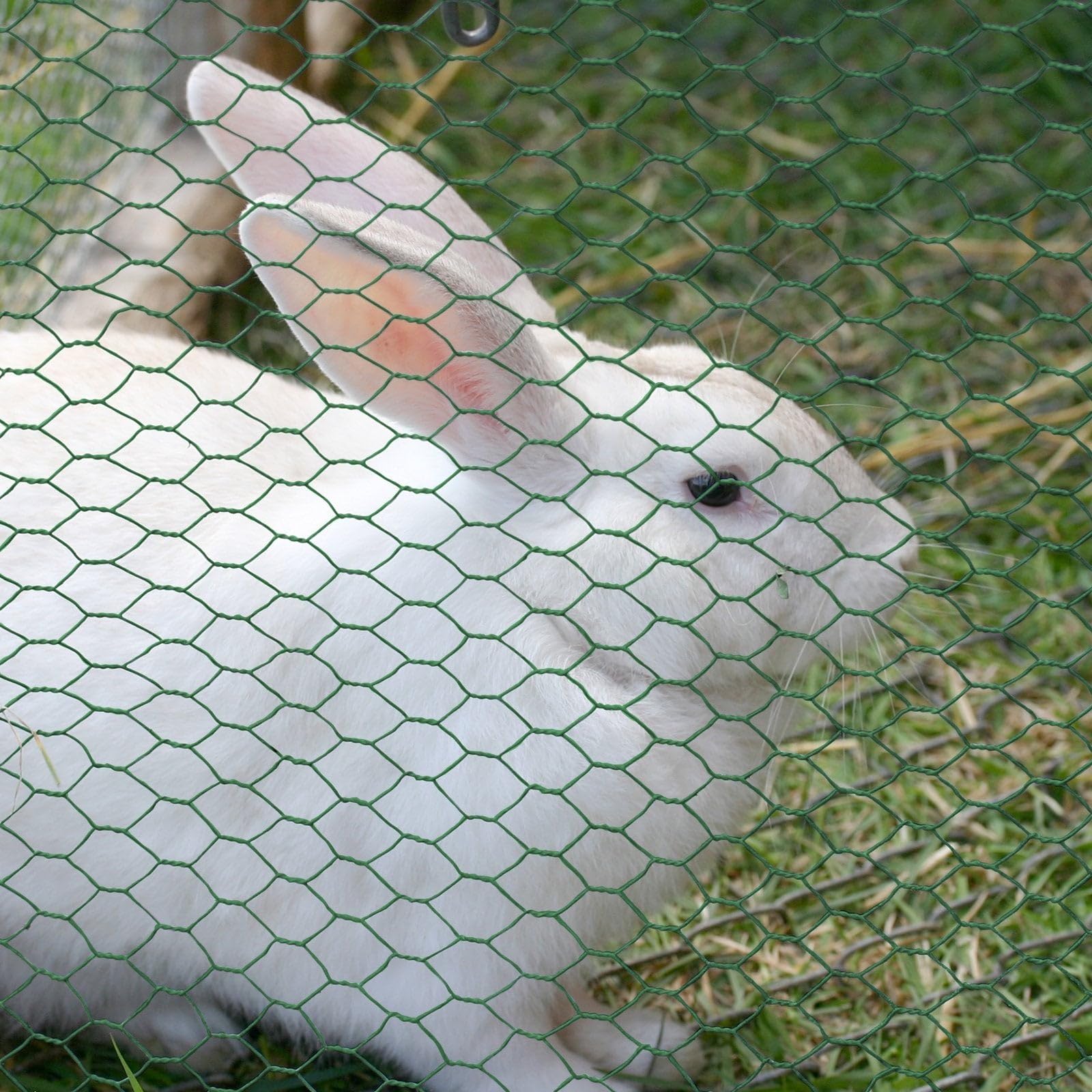 casa pura| Rouleau Grillage Triple Torsion - Maille Fine Hexagonal - Idéal pour protéger Votre Jardin/Vos Animaux, Lapins et Poules | 13 mm Maille | 50 cm x 25 m, Vert