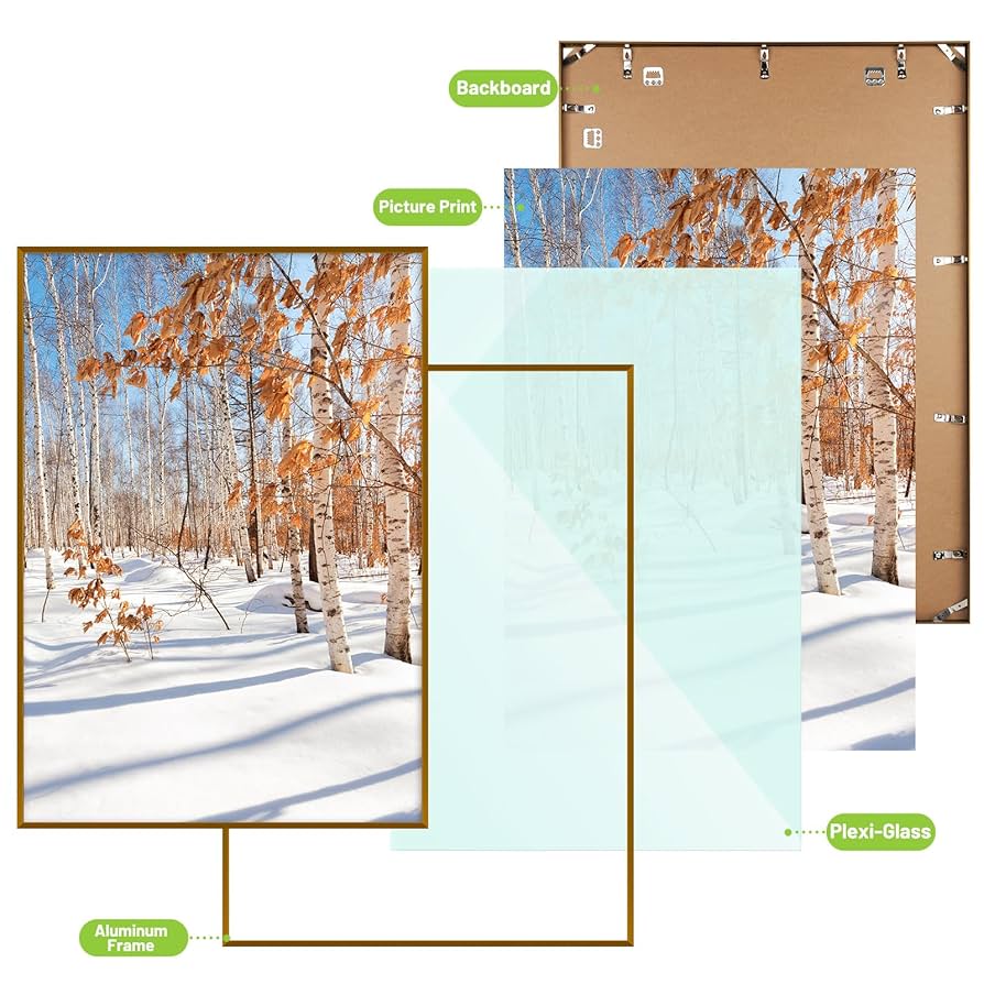 Amazon.co.jp: Golden State Art、A1アルミニウム写真フレーム