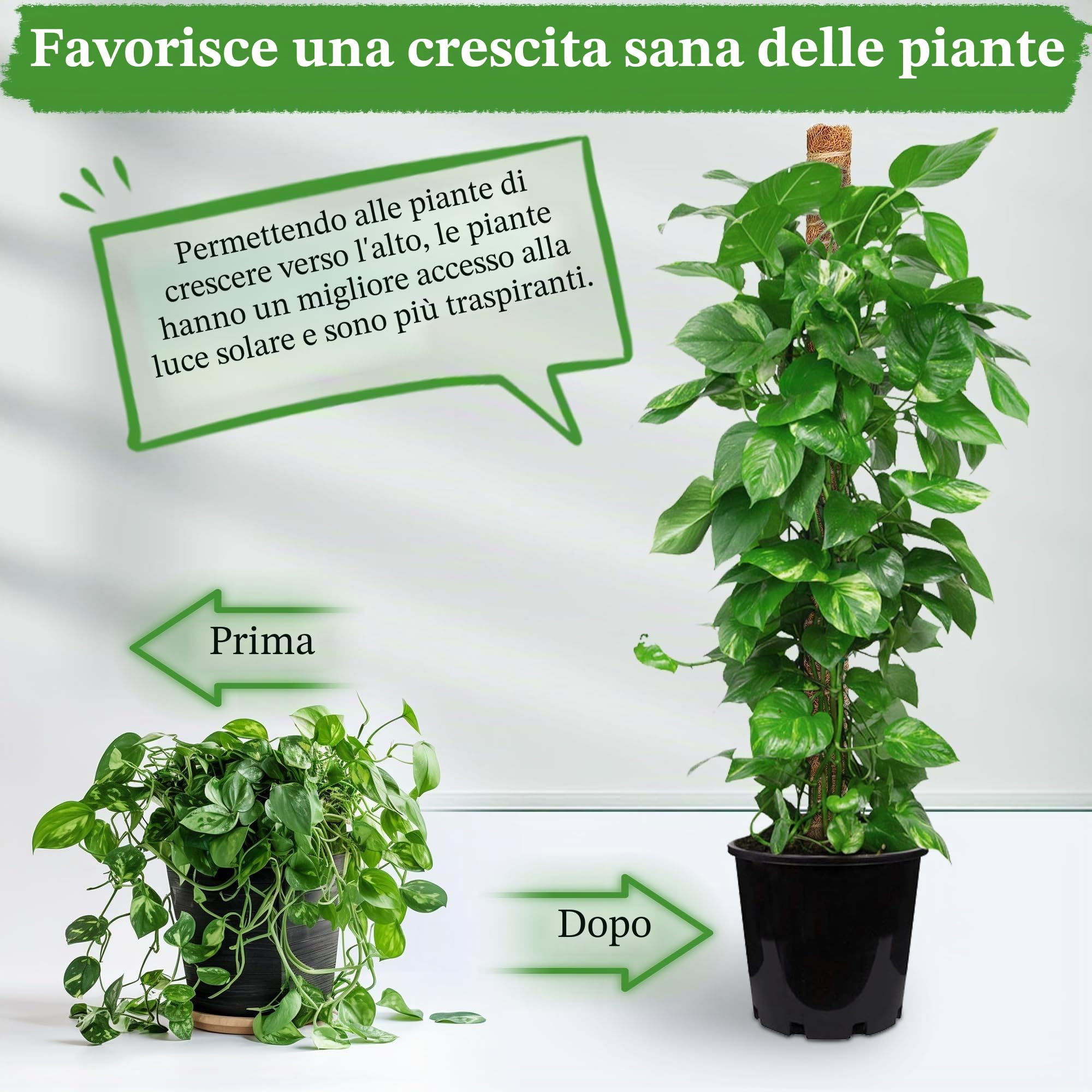 COZCLAM Palo di Muschio, 2Pezzi 160cm Tutore Piante, Palo in Fibra di Cocco per Piante Rampicanti, Pieghevoli Supporti per Piante, Supporto per Monstera per Piante Rampicanti che Crescono Verso l'alto