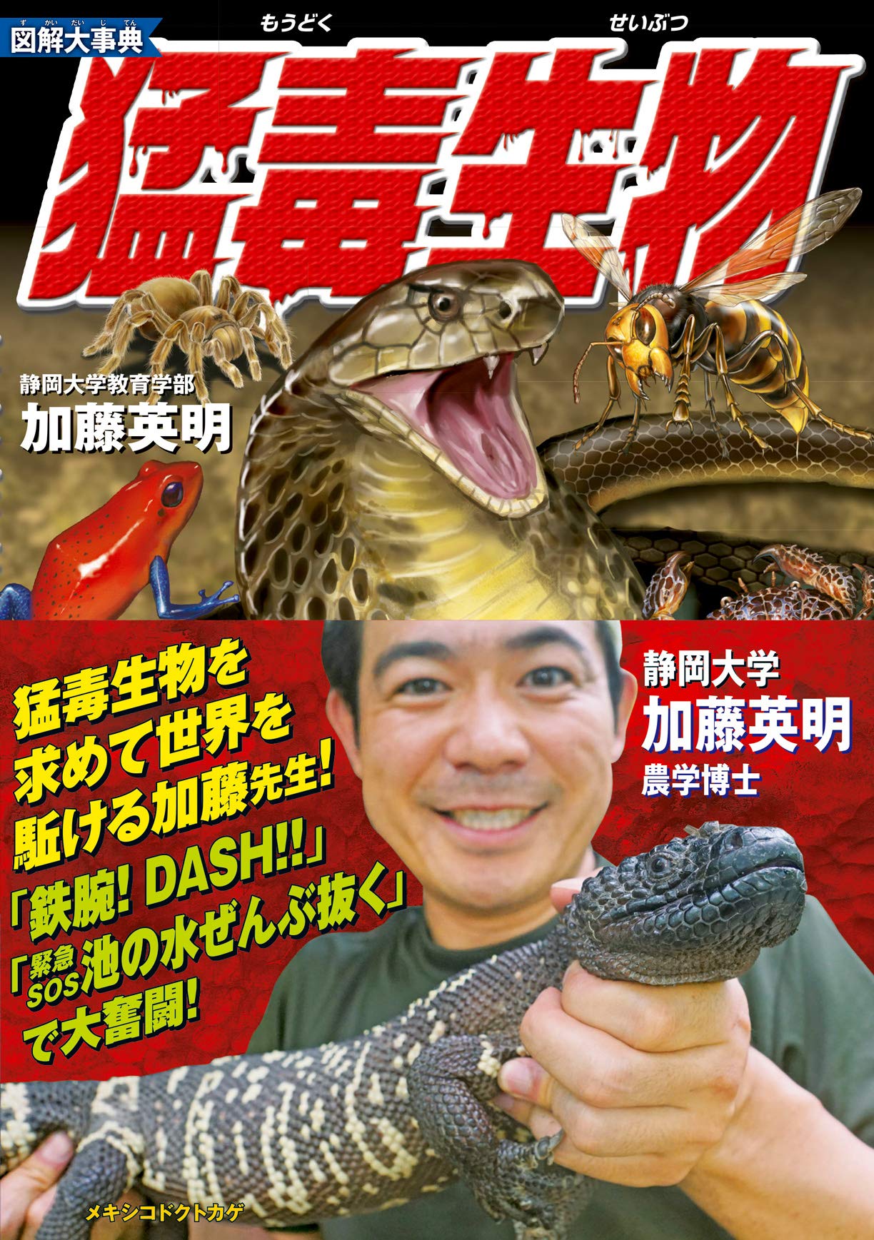 生物の進化大事典 生物の進化大事典［事典-図鑑・大全-］｜辞書は三省堂｜#進化
