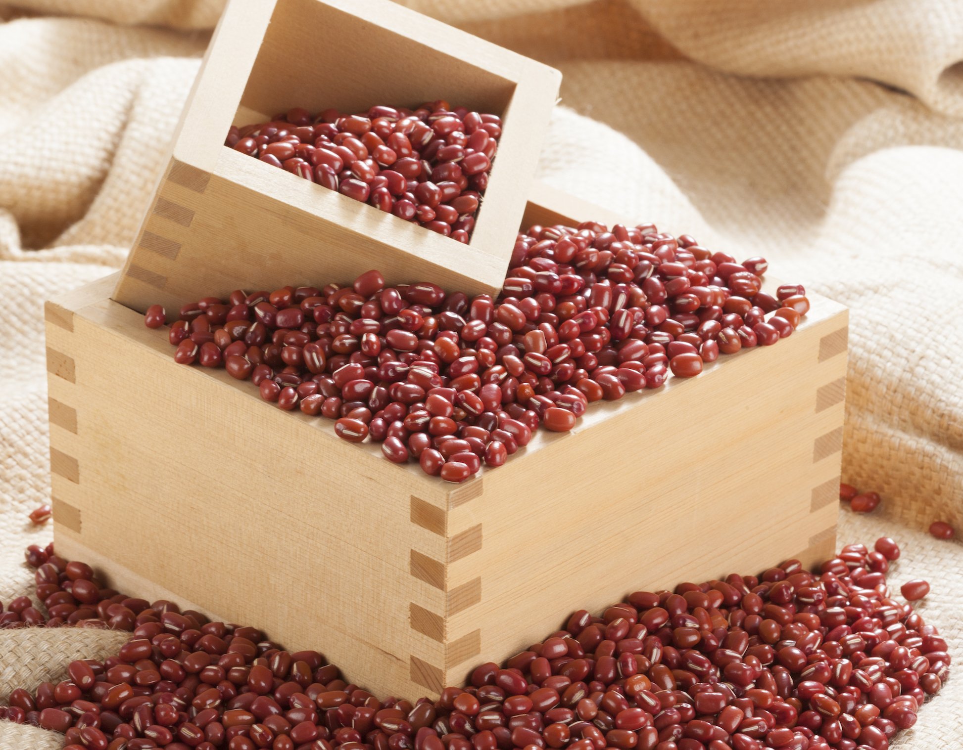 Amazon.co.jp: 森田農場 北海道産 小豆 柔らかくて渋みの少ない「奇跡