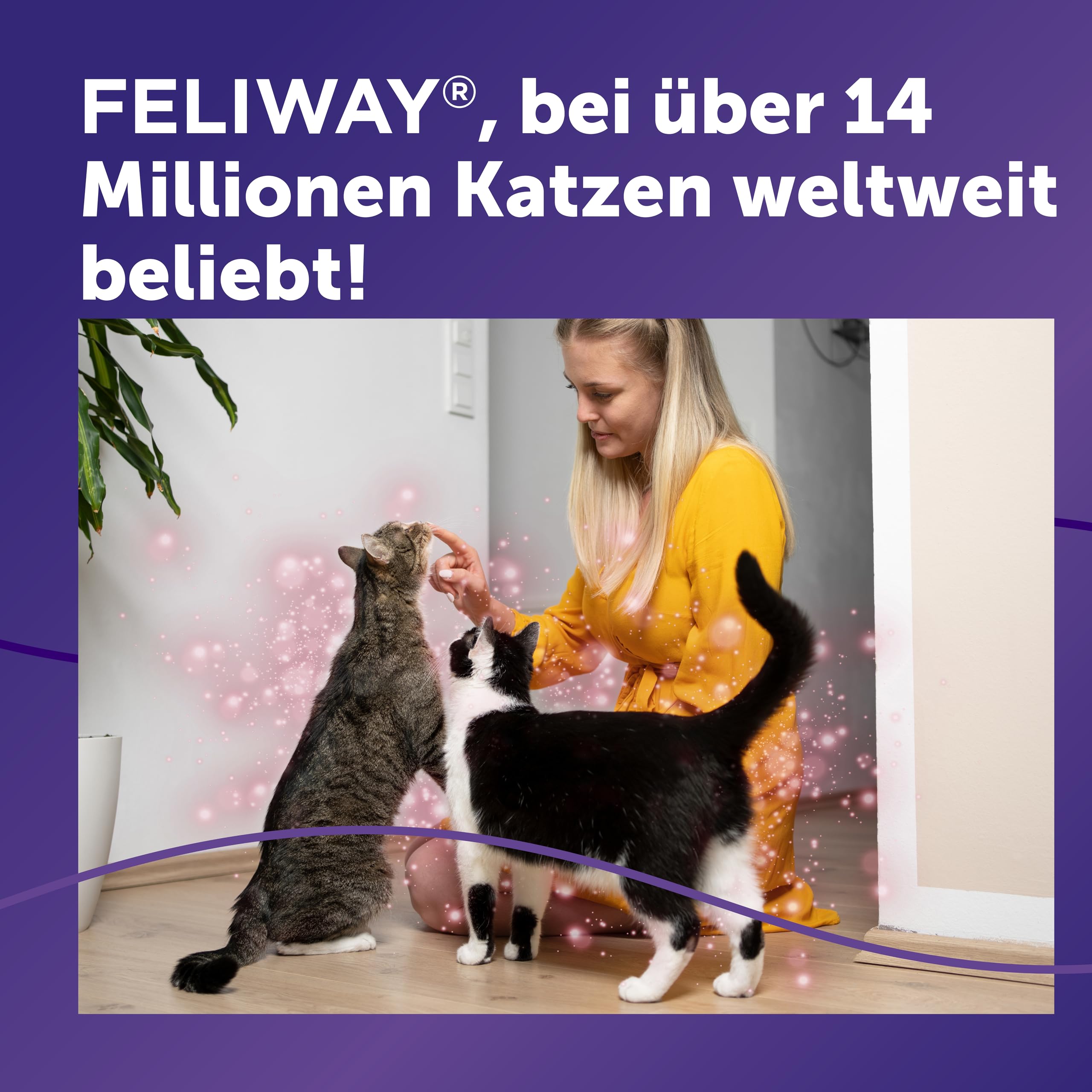 FELIWAY Friends 30 Tage Pheromon Verdampfer Start-Set, 48ml - Hilft Anzeichen von Stress bei Katzen und Kitten zu reduzieren, von Tierärzten empfohlen, klinisch getestet