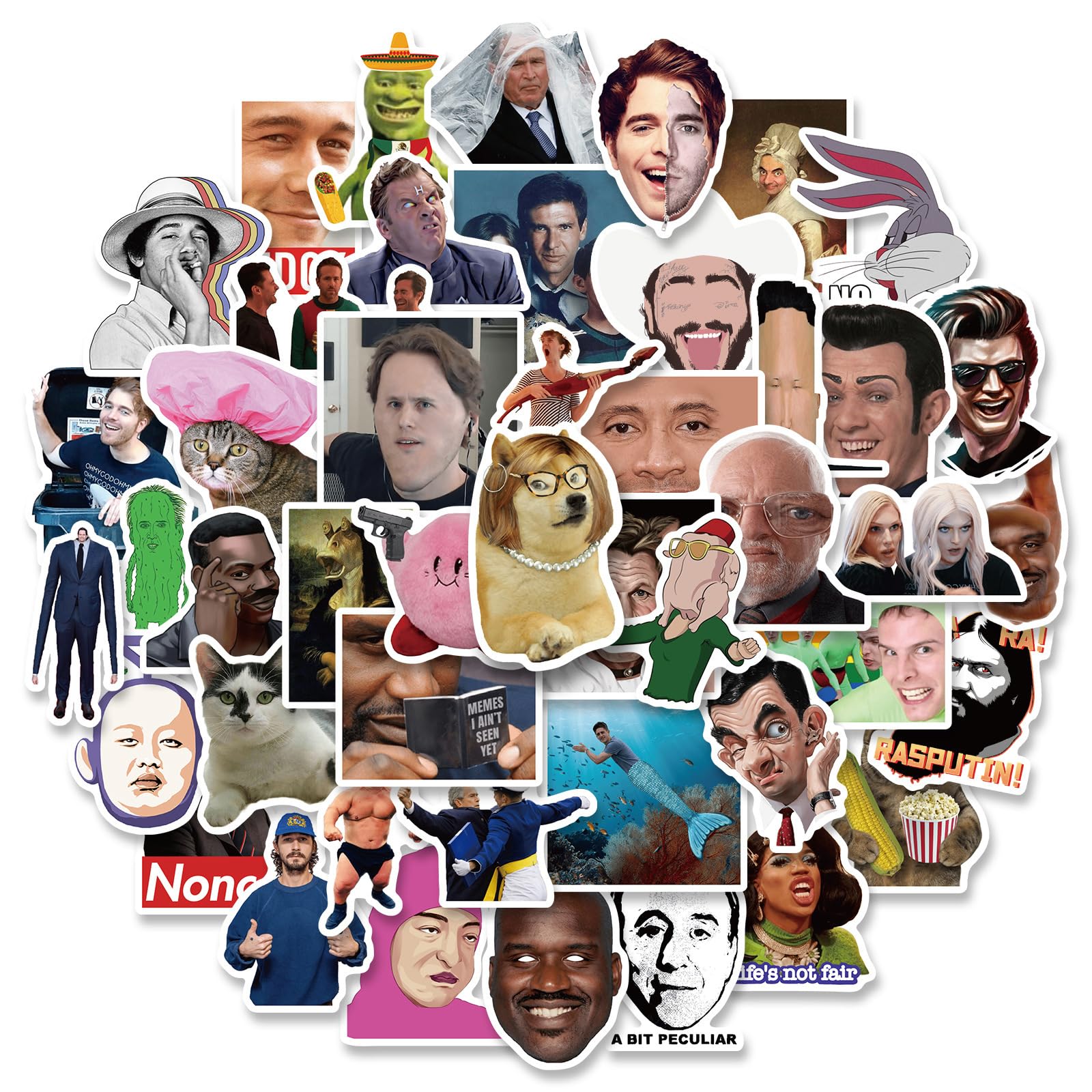 AUCEKO 200PCS Multicolor Cartoon Meme Stickers, Trendy Vinyl Stickers for Laptop, Water Bottle, Skateboard, Car, Bike, Wall