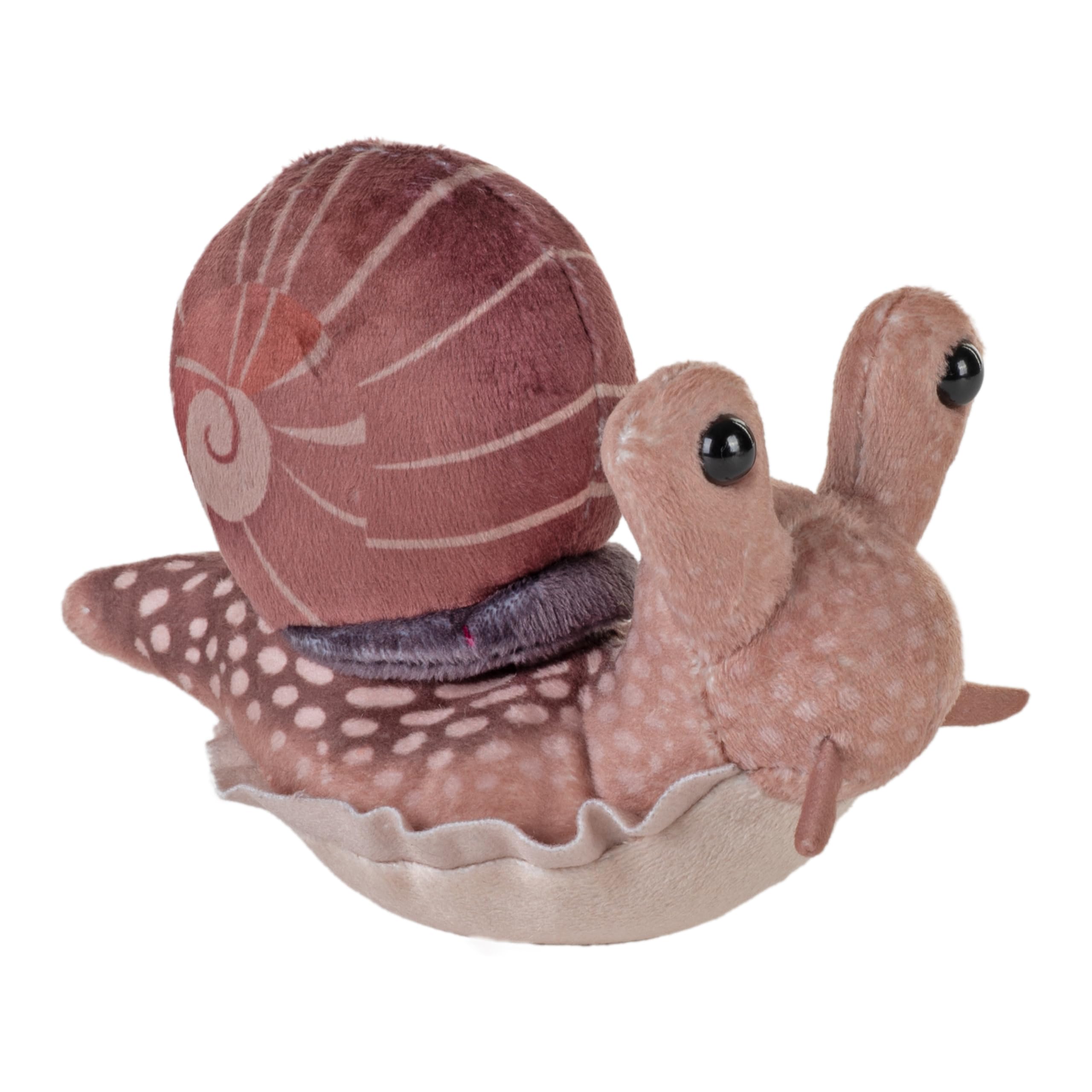 Amazon.com: Wild Republic Pocketkins-Eco Snail, Stuffed Animal, 5