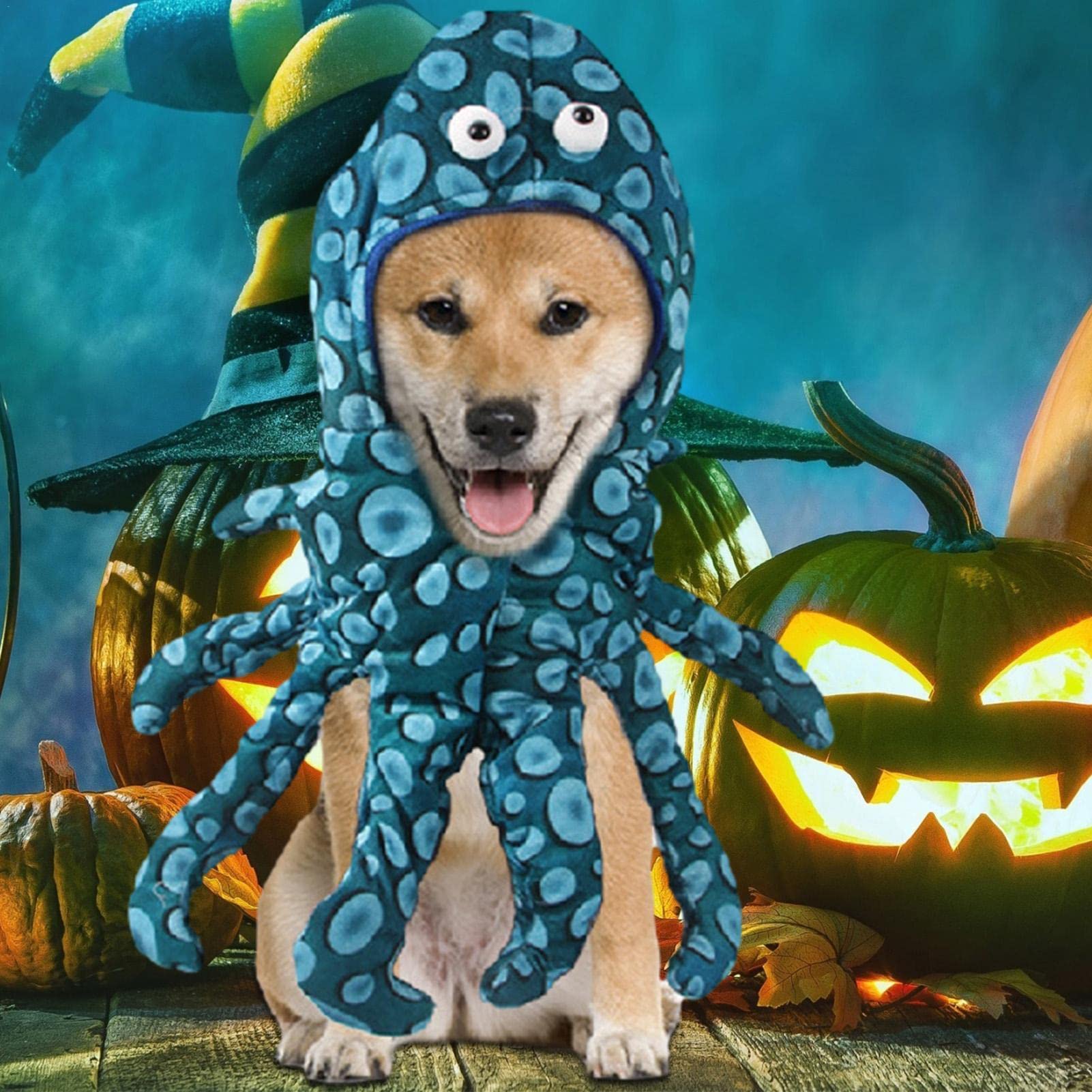 Amazon.co.jp: ハロウィン 犬 タコ コスチューム - 犬 ハロウィン 