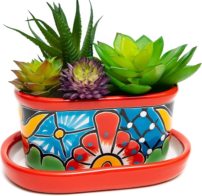 Vaso in Ceramica TALAVERA per Piante Grasse, Cactus, Bonsai, Contenitore Decorativo per Piante da Interno