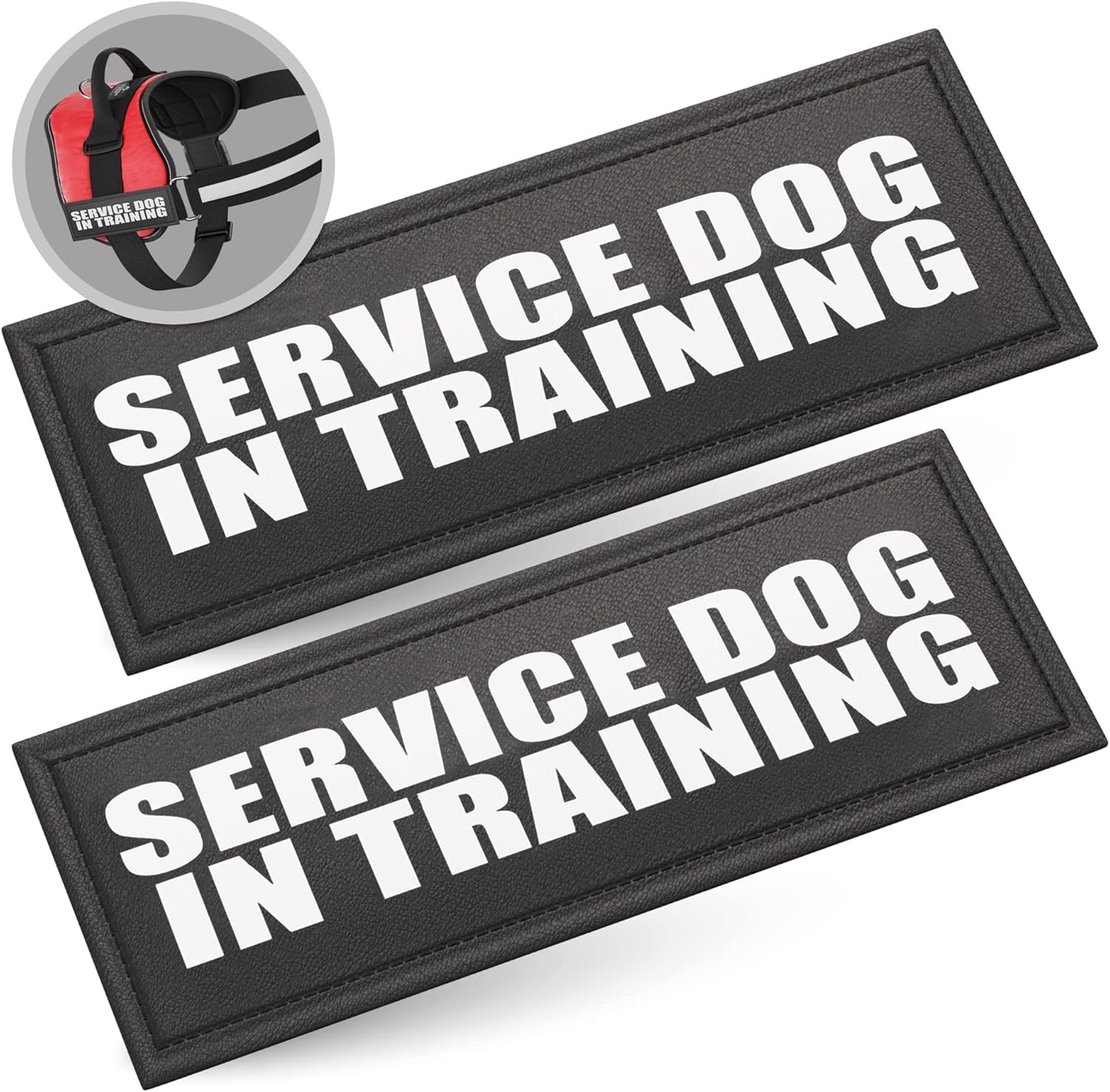 service dog in training patch