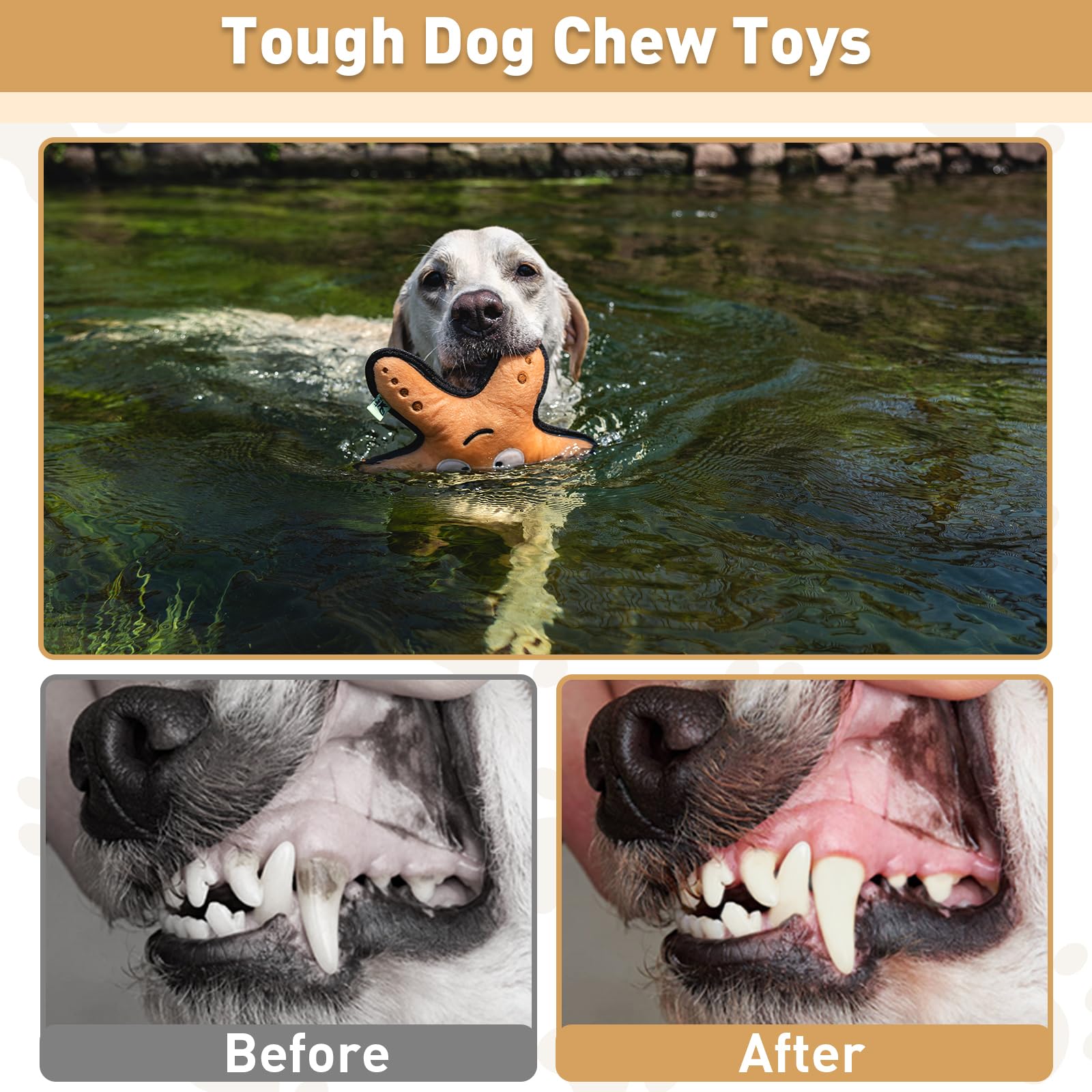 Duuclume Squeaky Starfish Dog Chew Toy, Interactive Plush Stuffed Dog Toys, Teeth Cleaning Dog Toys for Small to Large Dogs - Image 3