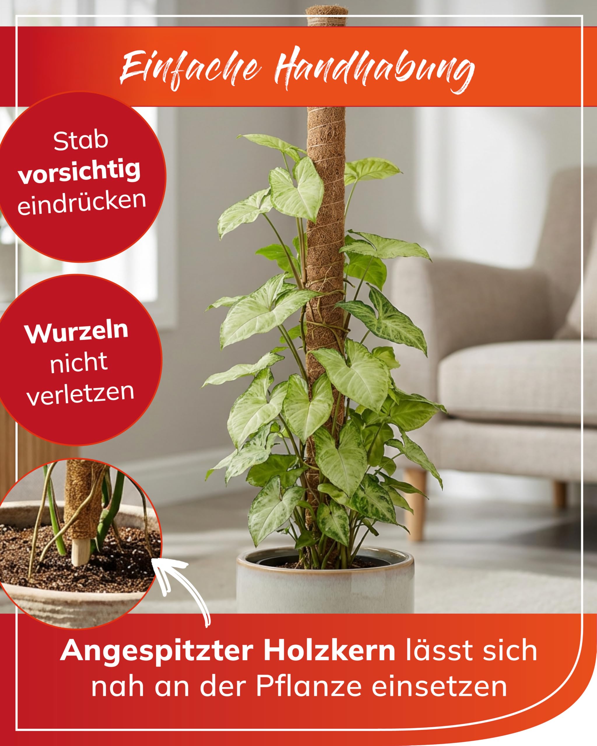 bellissa Kokosstab Pflanzstab Monstera Efeutute Rankhilfe 10er-Set 80 cm | Pflanzenstütze für Garten & Balkon mit Holzkern, steckbar & erweiterbar