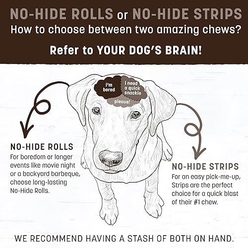 Miniatura 57 de Earth Animal No Hide - Rollos pequeños para masticar perros de larga duración, carne de res, 2
