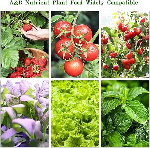 Miniatura 4 de Alimento hidropónico para plantas de 20.3 fl oz, alimento para plantas de interior A&B para sistema hidropónico y plantas de interior en maceta, kit