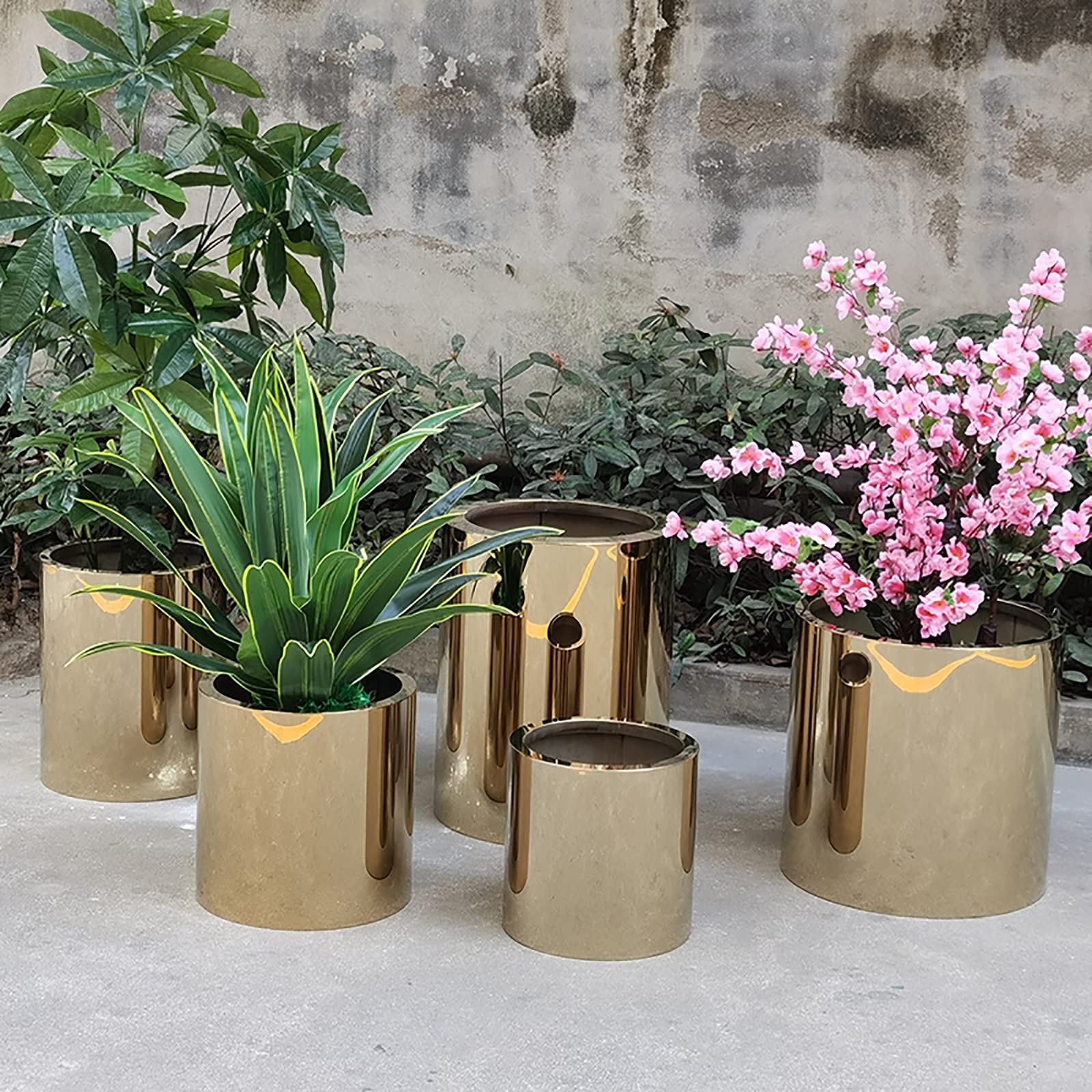 Amazon.co.jp: 植木鉢、多肉植物、サボテン＆小さな植物のための鏡面