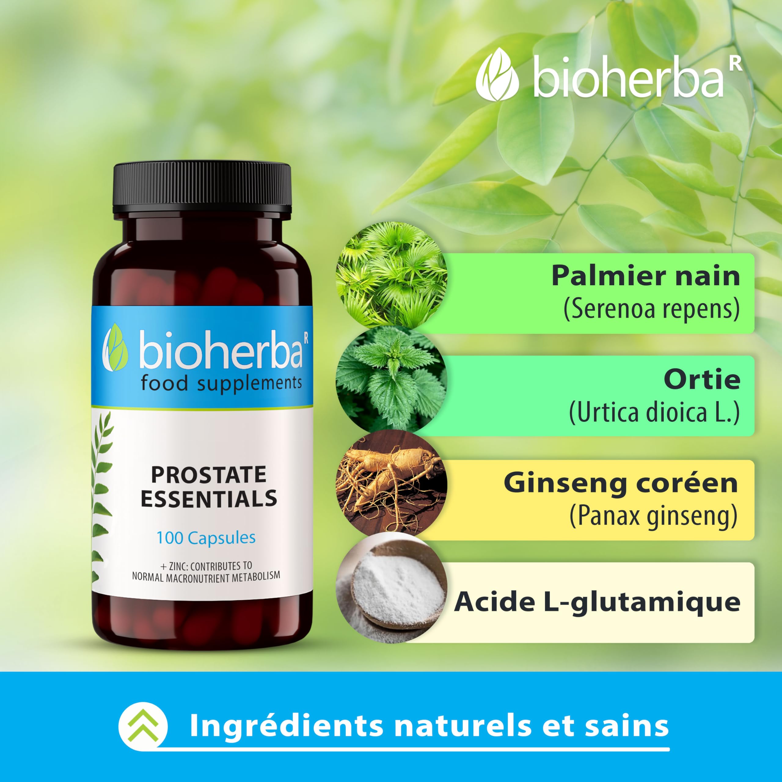 Saw Palmetto Complexe Avancé 100 Gélules Naturelles par BIOHERBA