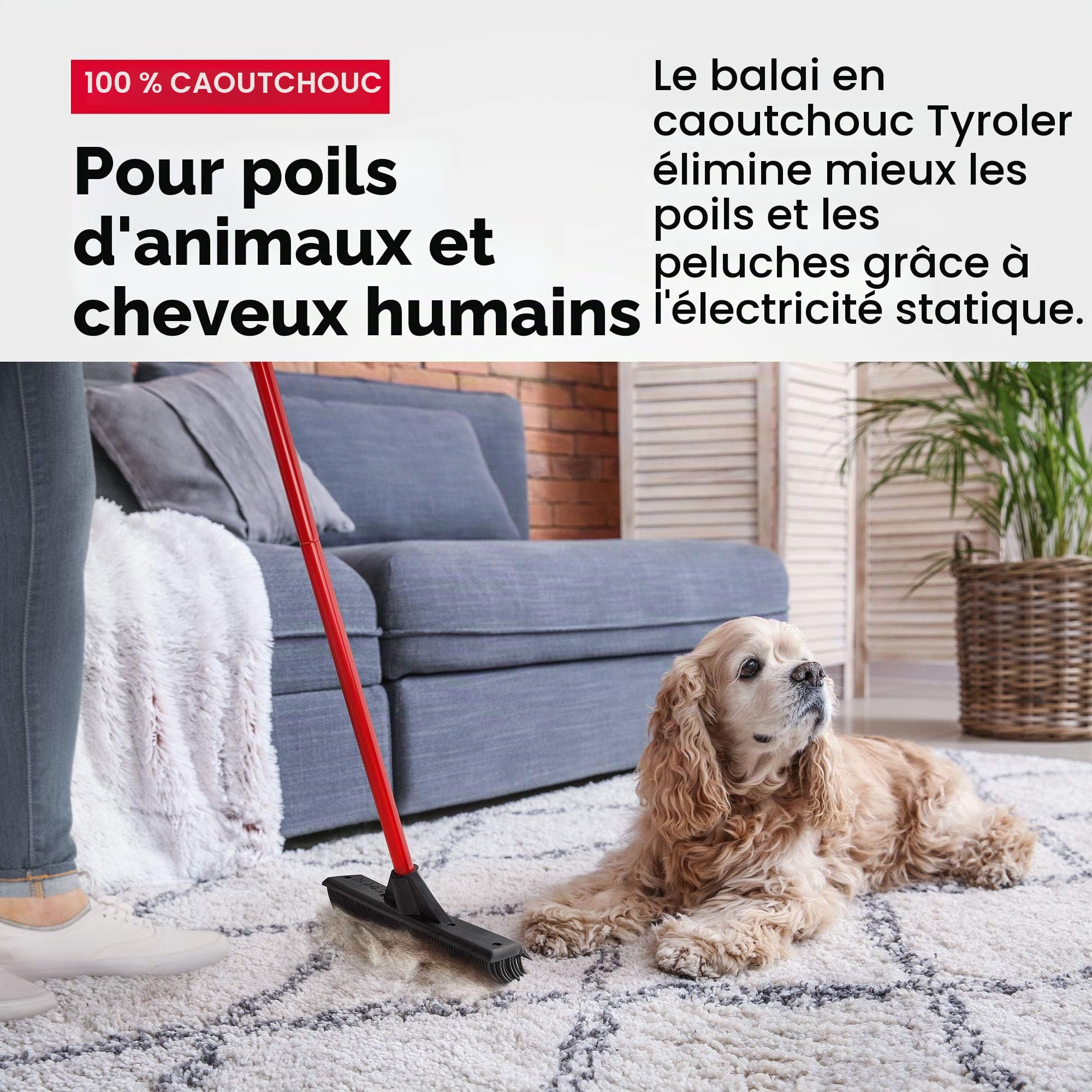 Tyroler Balai Caoutchouc & Raclette Sol | Tête De 33 cm Balai Bross Poils Animaux | Manche Anti-Rouille en 4 Parties de 140 cm pour Balais Coiffeur Caoutchouc Professionnel | Balais Nettoyer Sol
