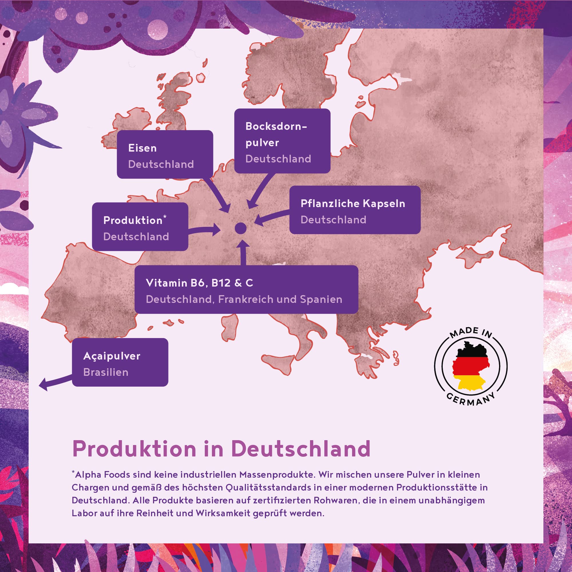 Blutnährstoffe - Gesundes Blut, Mit Eisen, Vitamin B6 und B12, Folate, Vitamin C, Himbeeren, Goji und Açai - 90 Kapseln
