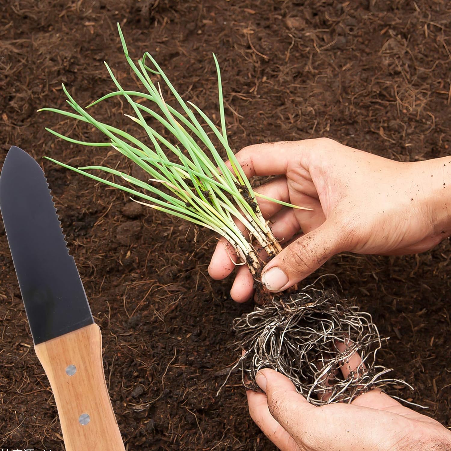 楽天市場 Balacoo 庭の手こて庭のこて道具花を植えるシャベルを移植するゆるい土を掘る掘りを掘る盆栽を造園するためのシャベル道具 黒 Acai Torquedigital Com Br