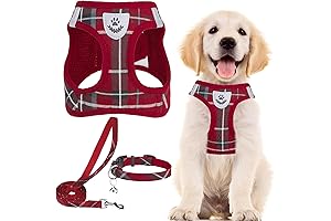 PUPTECK Dog Christmas Harness with Collar and Leash - Red