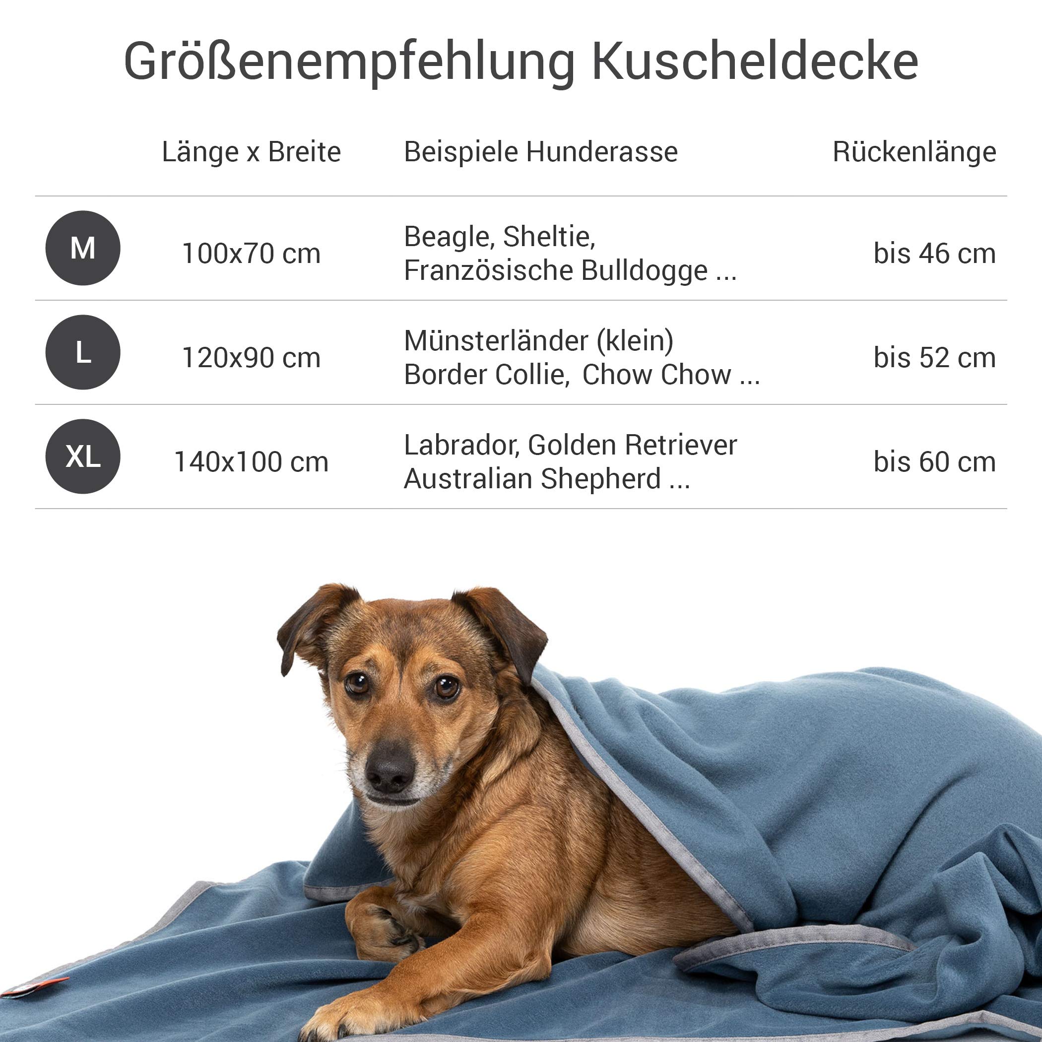 Doctor Bark | kuschelige Hundedecke waschbar bis 95°C, hygienische, weiche Fleecedecke für Sofa und Hundebett, Flauschige Haustierdecke - Made in Germany (L - 120x90 cm/Blaugrau)
