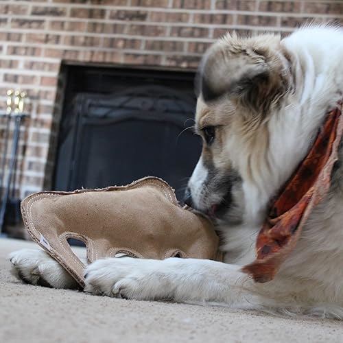 Miniatura 10 de SPOT by Ethical Products - Juguete para perro de cuero fundido Dura-con chirriador, duradero, de cuero real, para perros, costuras dobles y respaldo