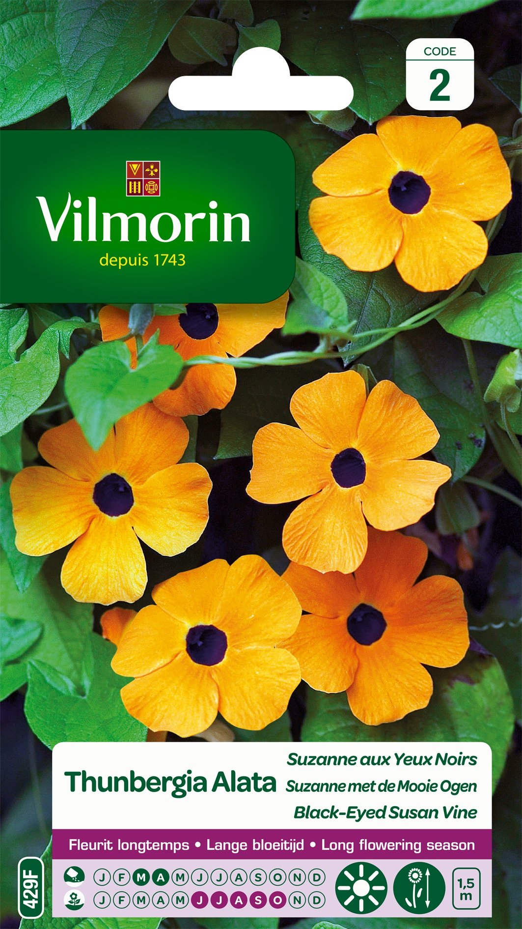 Vilmorin 5809542 Roślina pnąca, żółta, 90 x 2 x 160 cm