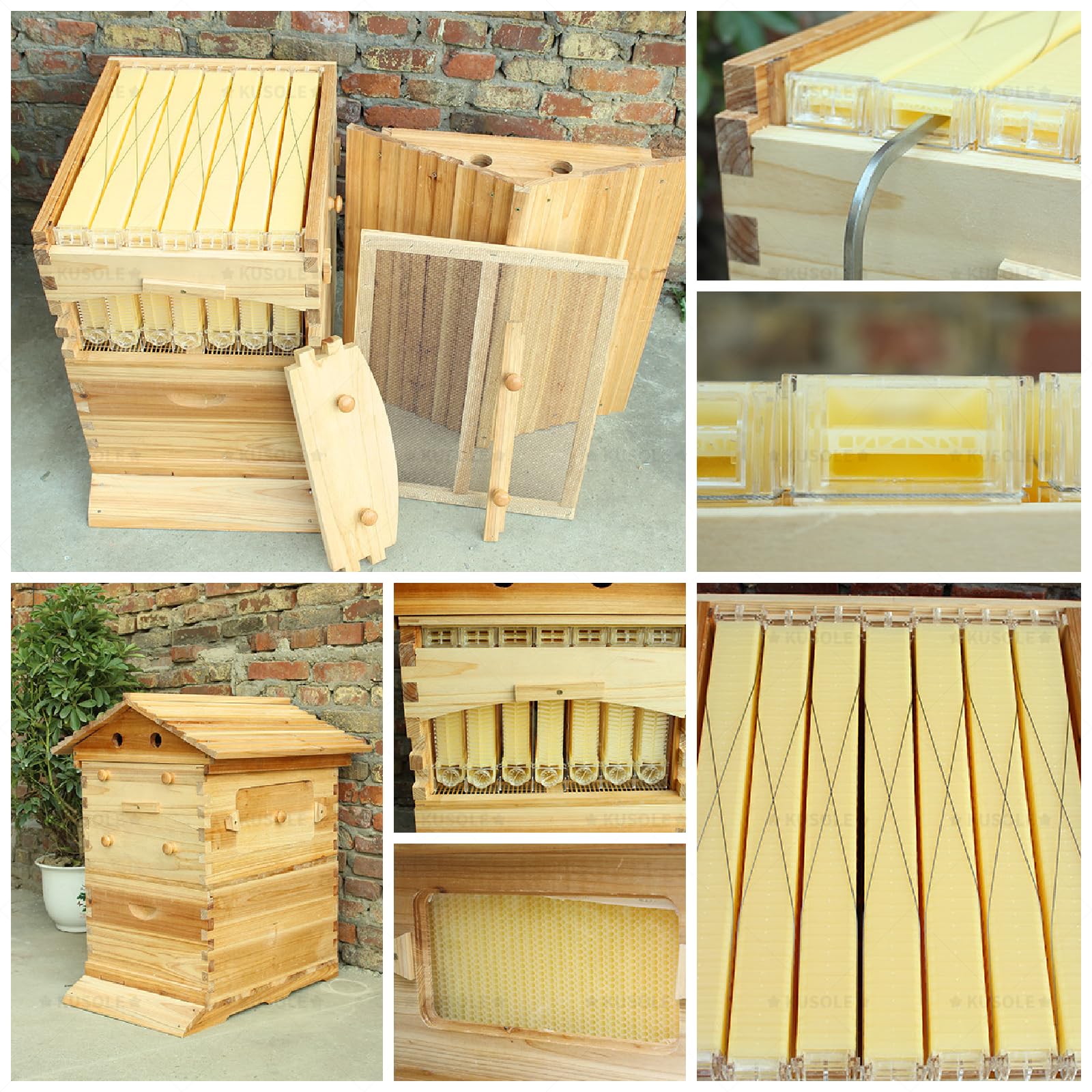 Kit de Inicio de Colmena y Suministros, Adecuado para Principiantes en Apicultura, con Ventana de observación, Incluye 7 bandejas de Panal