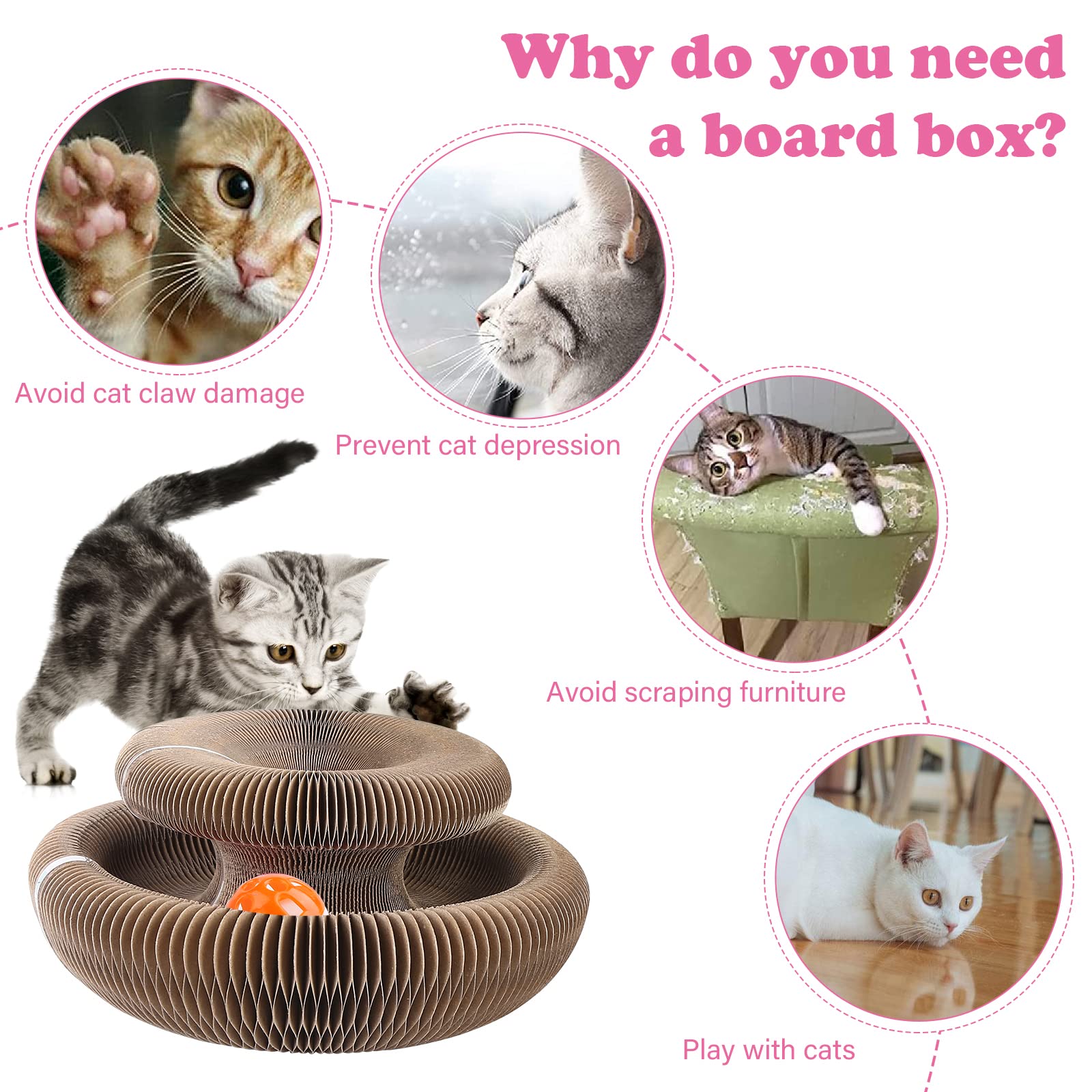 Jouet à Gratter En Arc Pour Chat – Pour Toi Mon Chat