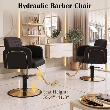 Salon Chair for Hair Stylist, Barber Chair Styling Chairs Professional Hydraulic Salon&Spa Equipment 360 Degree Swivel Hair Chair