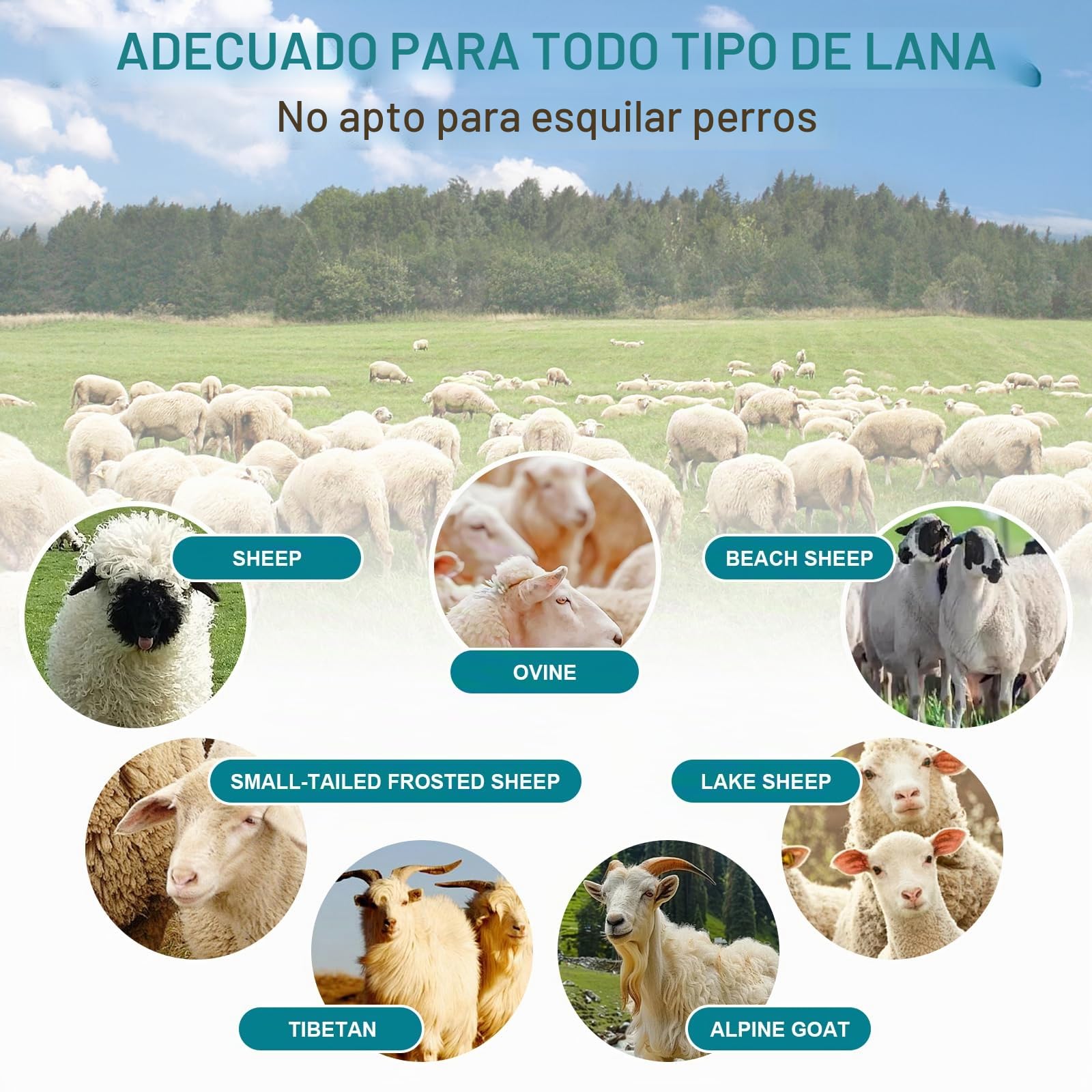 Cortadora de Lana para Ovejas Inalámbrica, Máquina de Esquilar Compatible con Makita 18V, 2400RPM, Tijeras Eléctricas para Ovejas con 2 Cuchillas y Caja de Plástico, 6 Velocidades (SIN Batería)