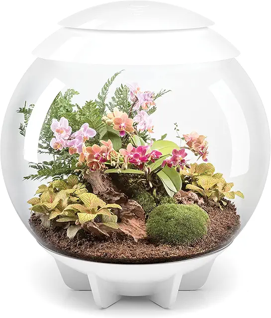 BiOrbAIR 60L Grey Automatic Terrarium with LED for Easy Plant Care