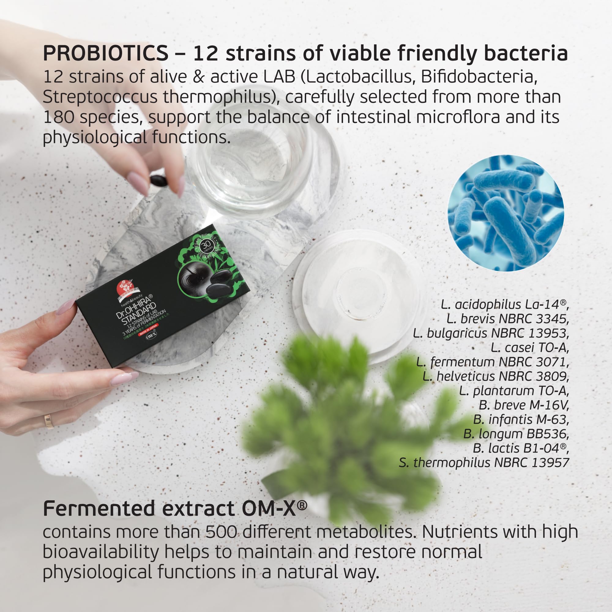 Dr. OHHIRA®Standard Gut Health Supplement-Probiotics, Prebiotics