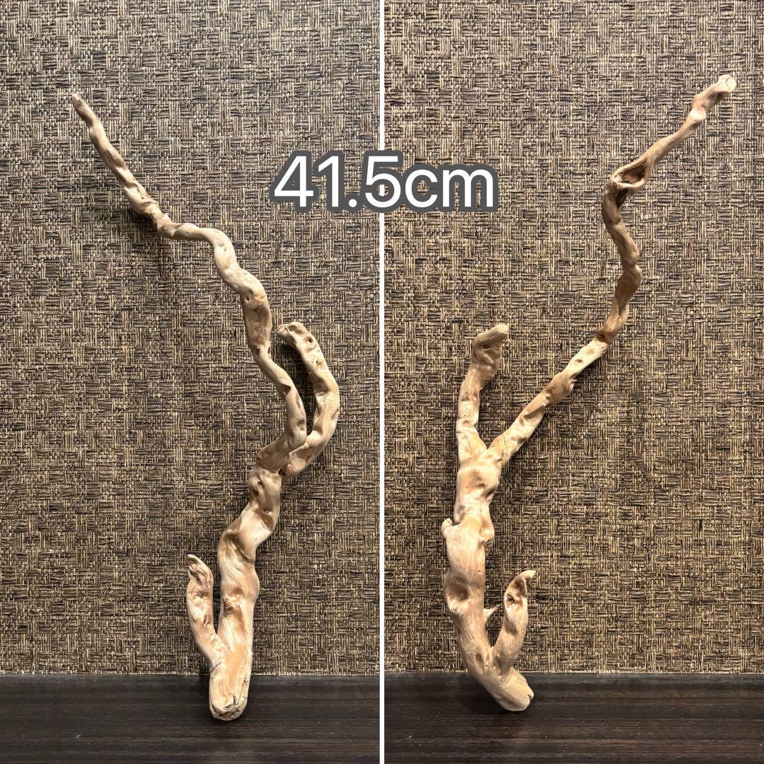 流木 うねうね大サイズ インテリア(or のぼり木) 67.5cm自立可 流木