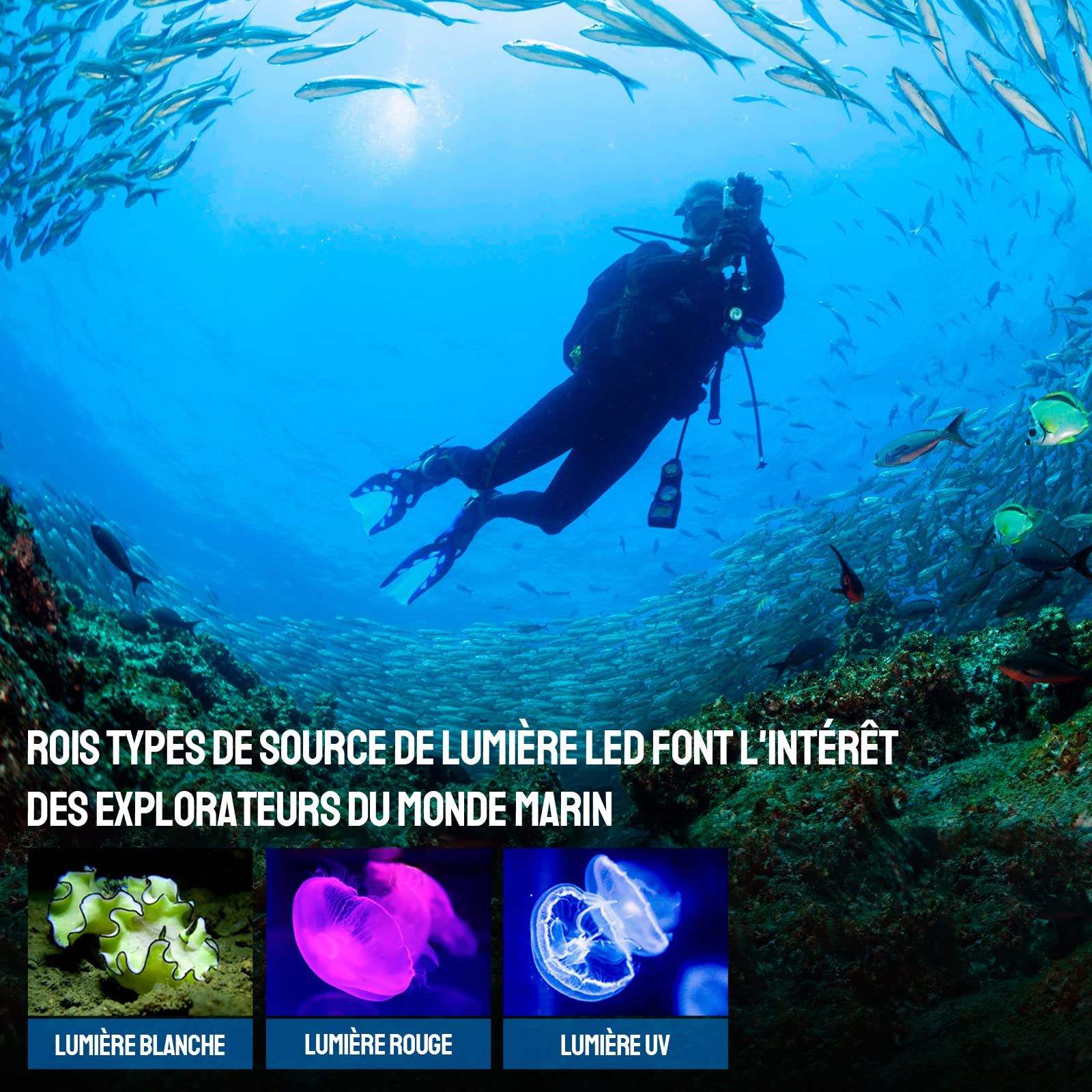 Lampe de plongée,TurstFire lampe de plongée LED, lampe de plongée LED, IPX8 étanche lampe de poche sous-marine avec batterie, lampe de plongée 4 modes d'éclairage