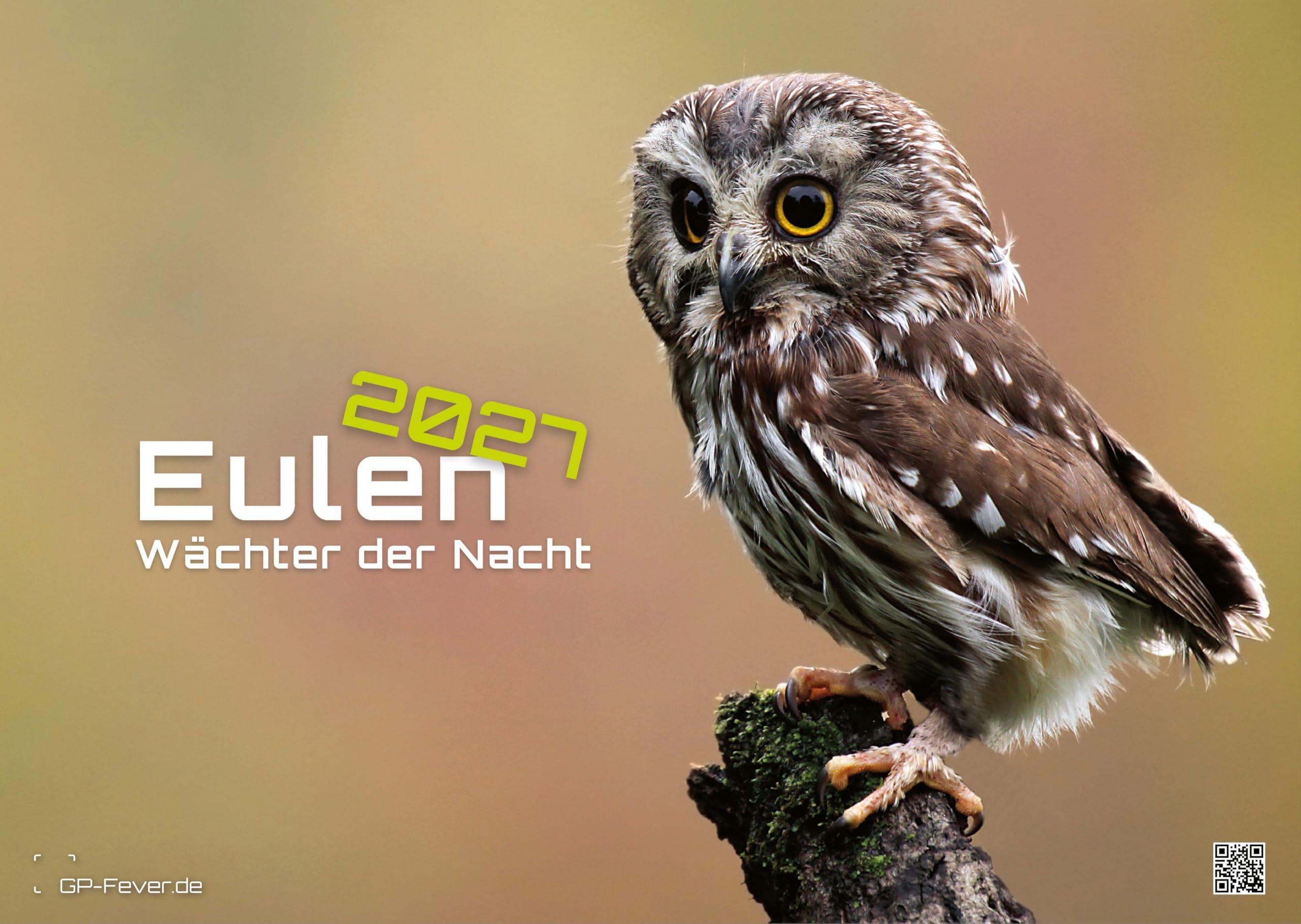Eulen - Wächter der Nacht - 2027 - Kalender DIN A3: Der Wandkalender mit den schönsten Eulen-Motiven für das Jahr 2027 im Format DIN A3 (ca. 42 x 30 cm)!