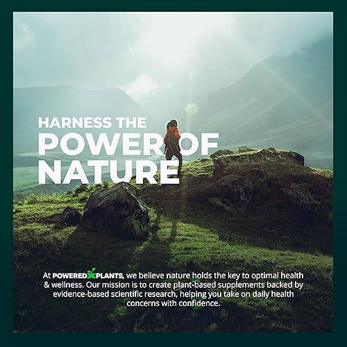 Miniatura 9 de Cápsulas vegetales de insulina – 3000 mg de polvo de hoja de Costus Igneus sin aglutinantes, rellenos ni gluten, suplementos veganos sin OMG para