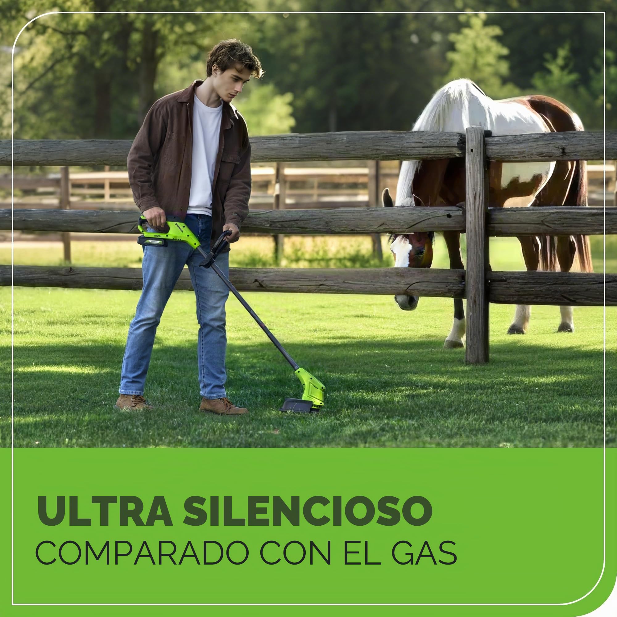 Greenworks G24LT25K2 Cordless Strimmer for Small to Medium Gardens, 25cm Cutting Width, Autofeed 1.65mm Nylon Line with 24V 2Ah Battery & Charger, 3 Year Guarantee