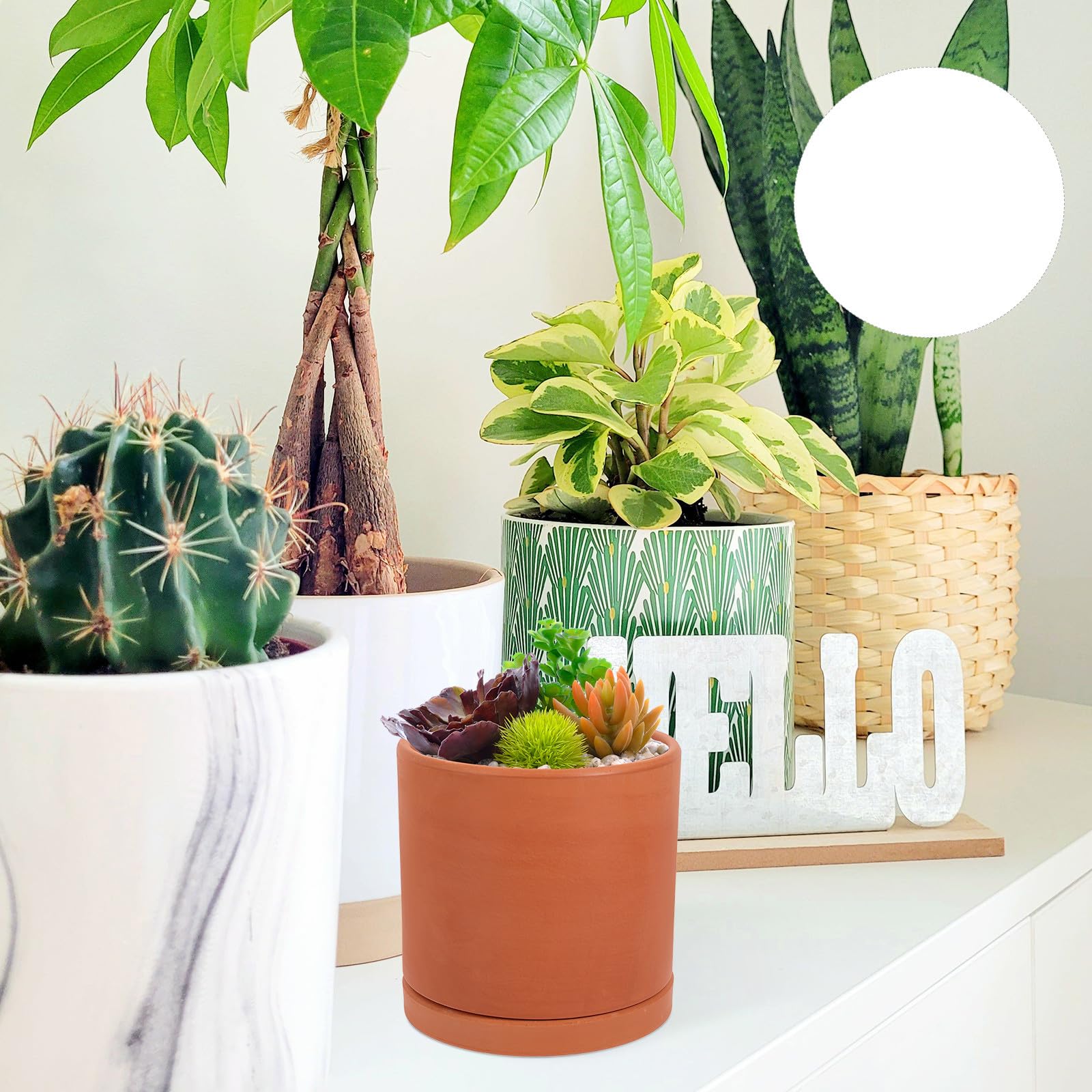 TOYANDONA Maceta de Barro Cilíndrica Naranja para Suculentas con Diseño Transpirable y Autorriego, Adecuado para Jardinería y Plantas de Exterior