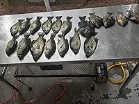 Review Image by jeter allred jeter allred