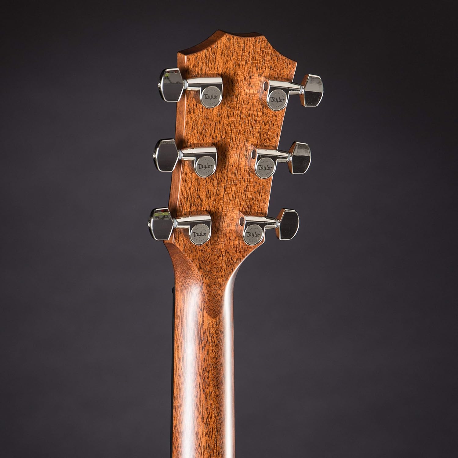 Taylor 312ce Grand Concert V-Class - Natural